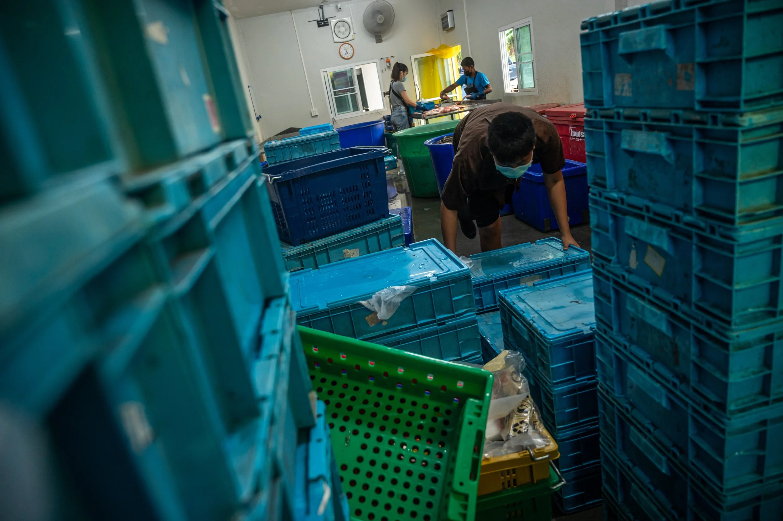 fish farm thailand-213.jpg