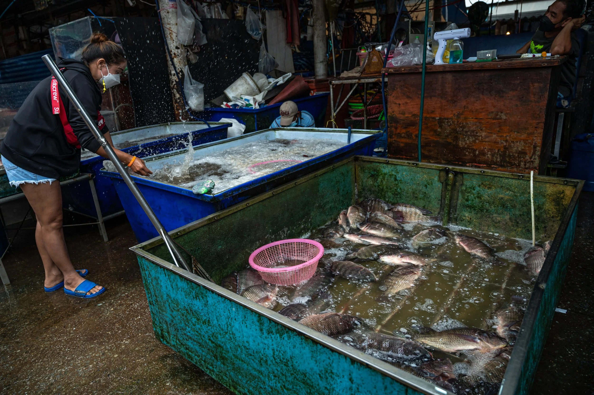 fish farm thailand-46.jpg