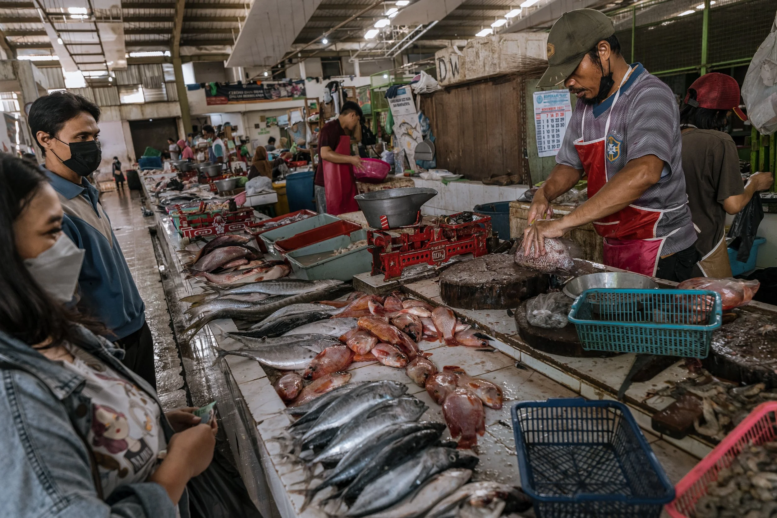 fish farm indonesia-55.jpg