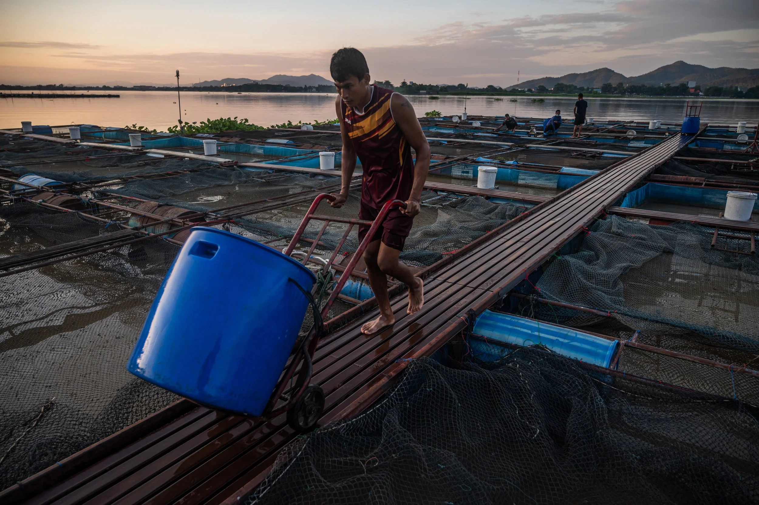 fish farm thailand-158.jpg