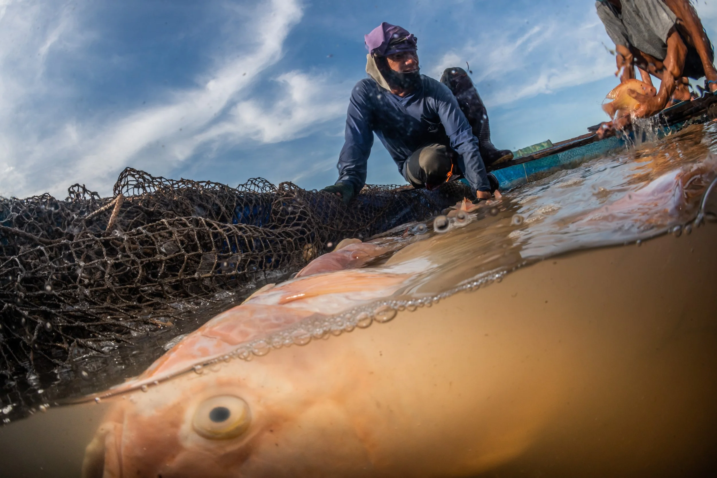 fish farm thailand-7.jpg