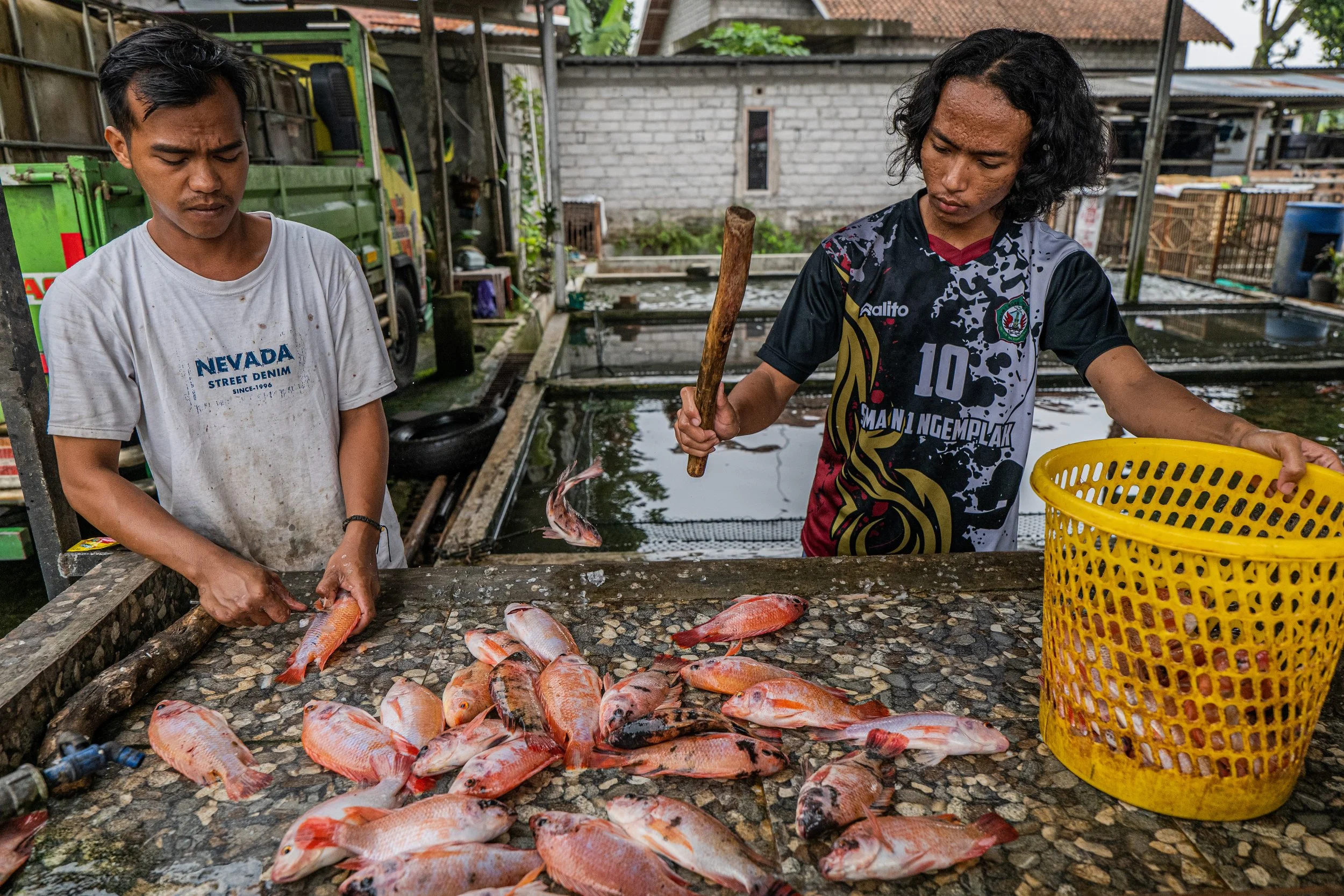 fish farm indonesia-48.jpg