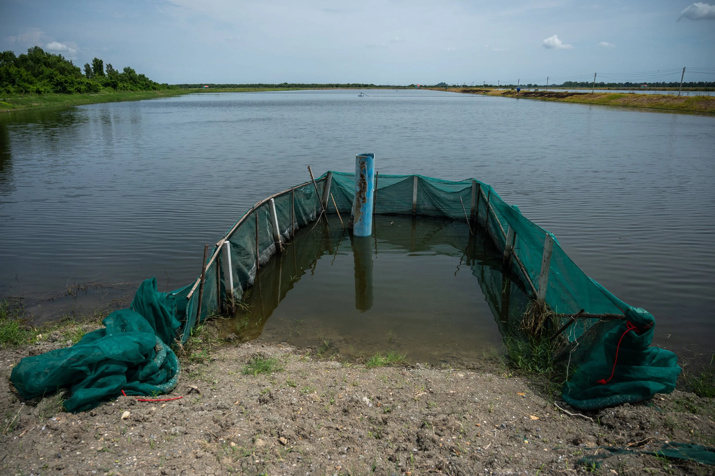 fish farm thailand-137.jpg