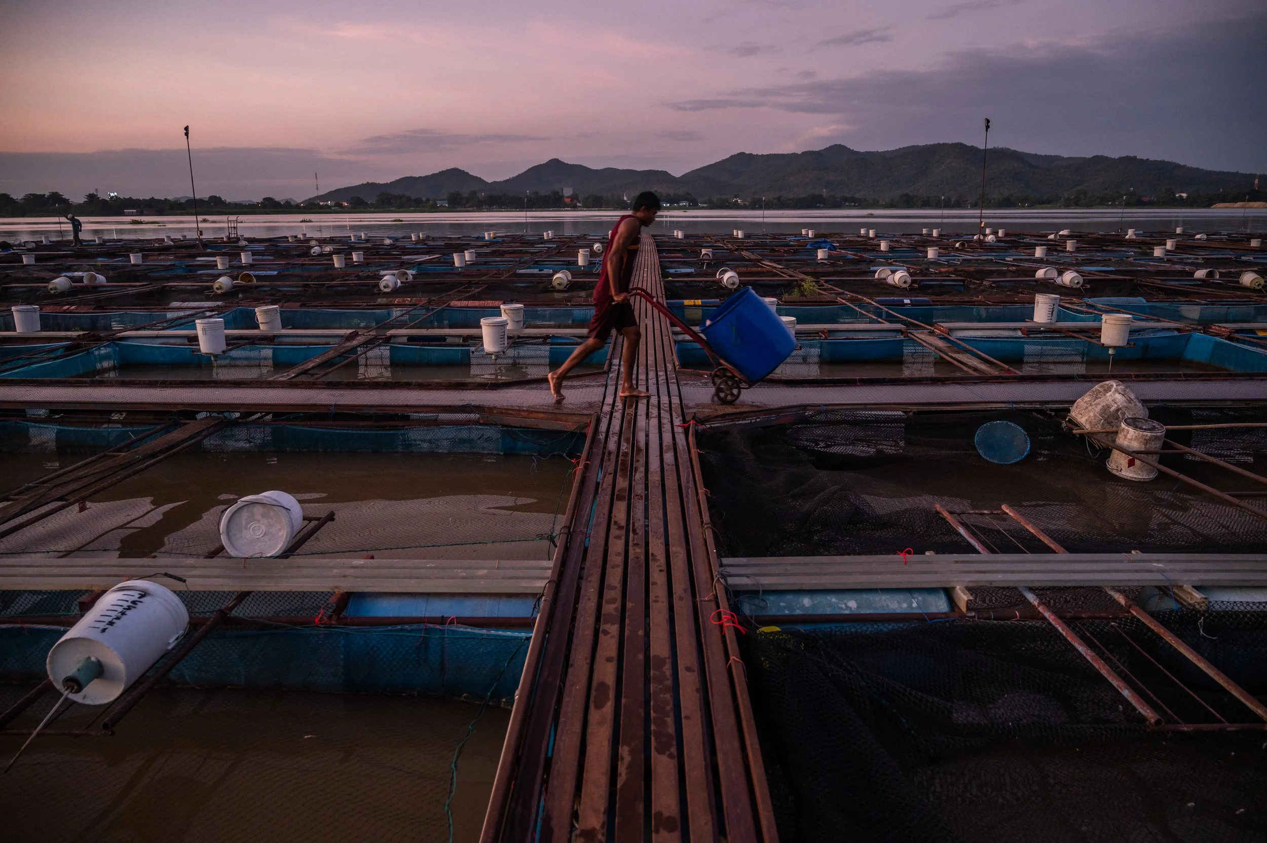 fish farm thailand-152.jpg