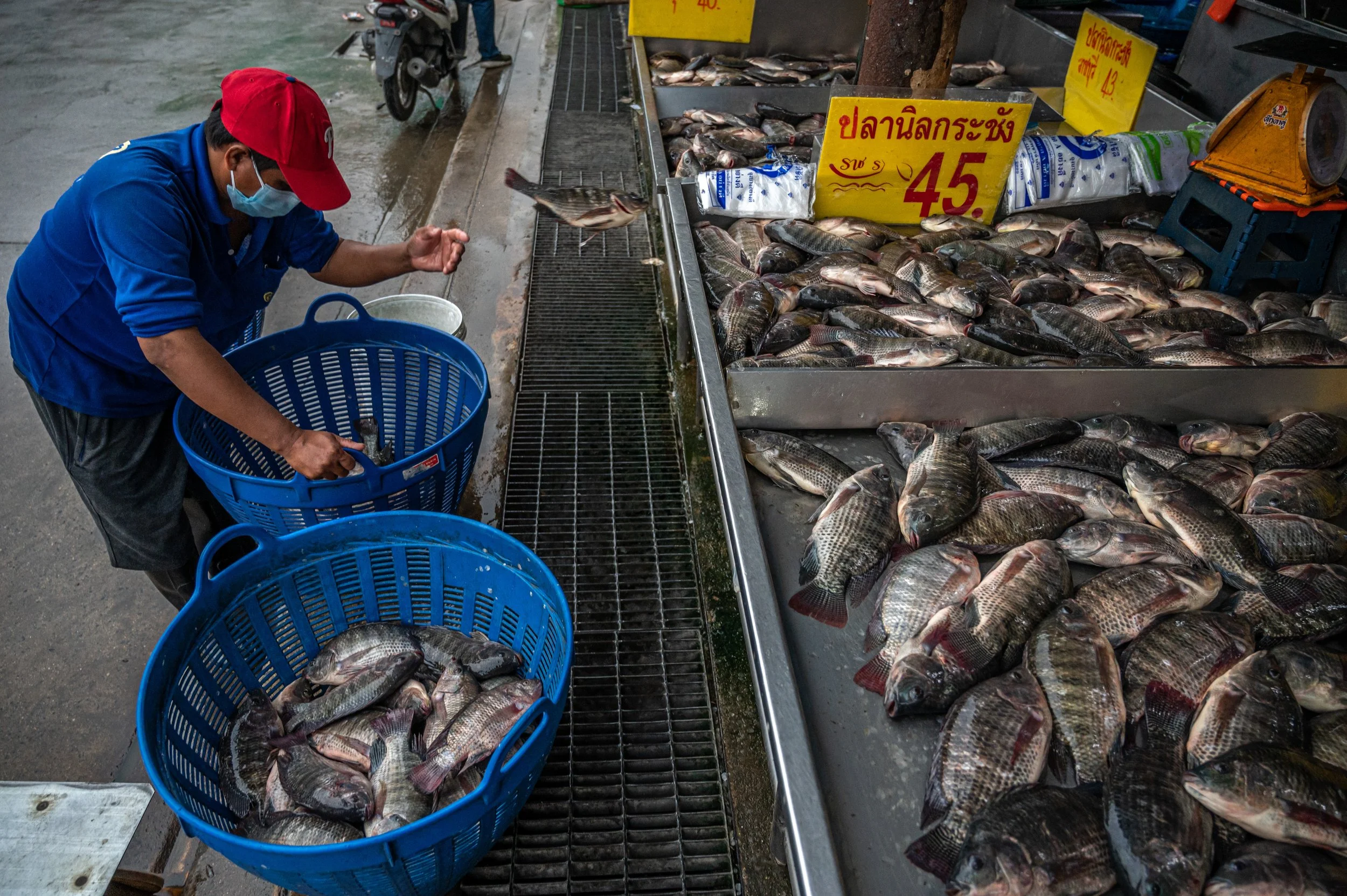fish farm thailand-112.jpg