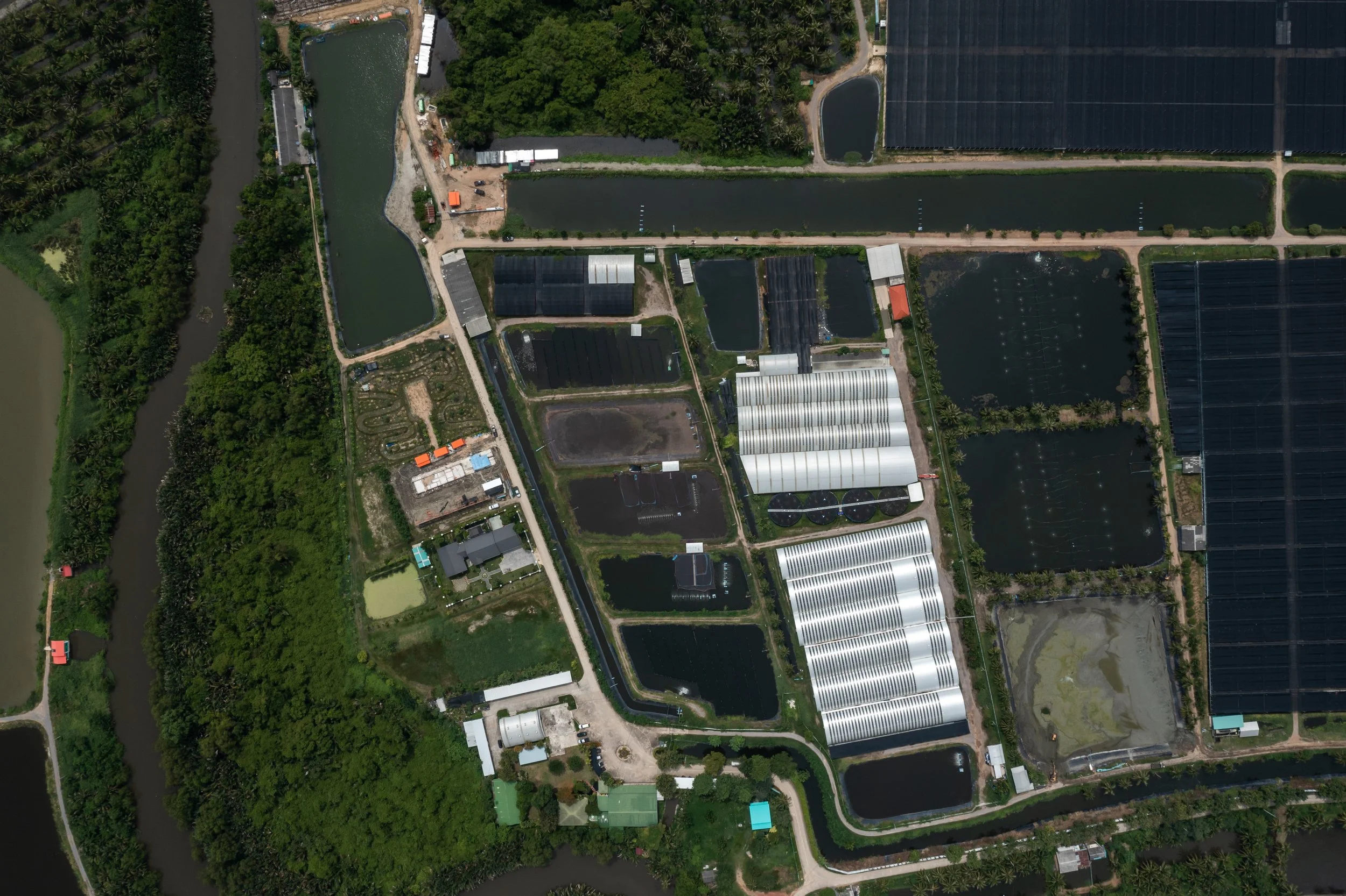 fish farm thailand-110.jpg