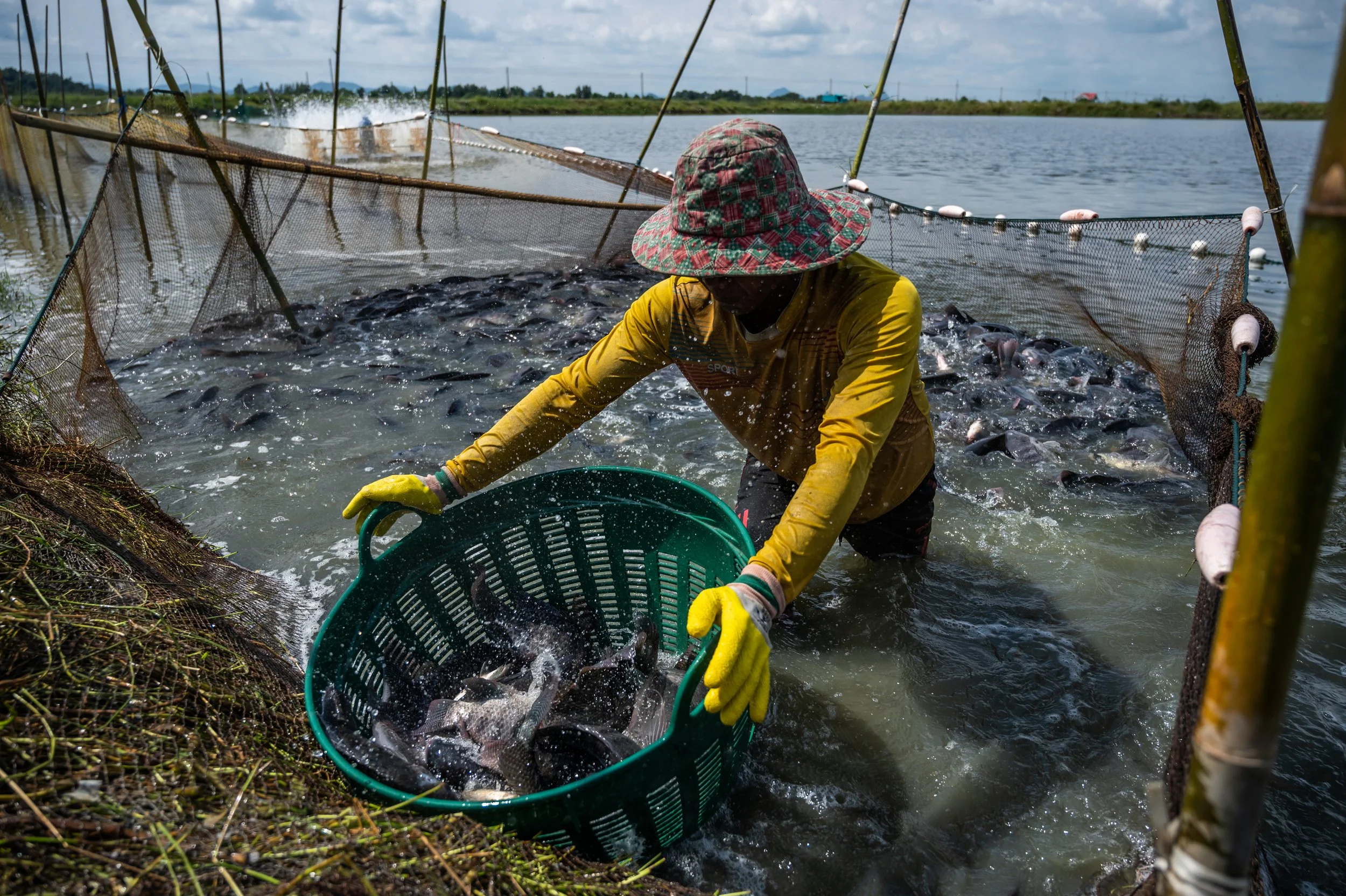 fish farm thailand-141.jpg