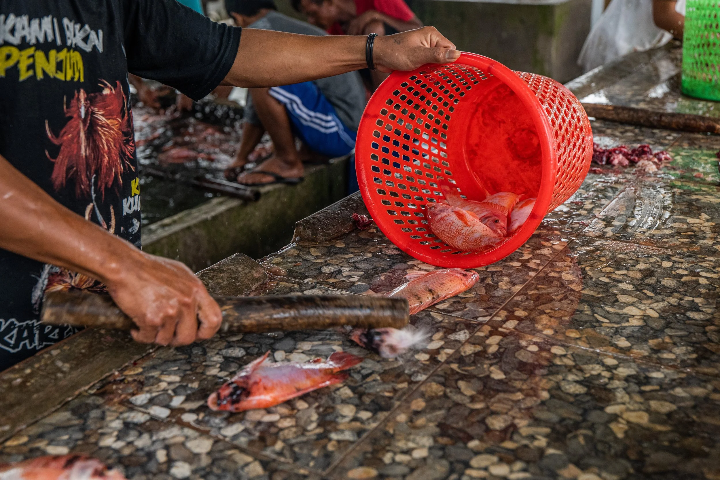 fish farm indonesia-7.jpg