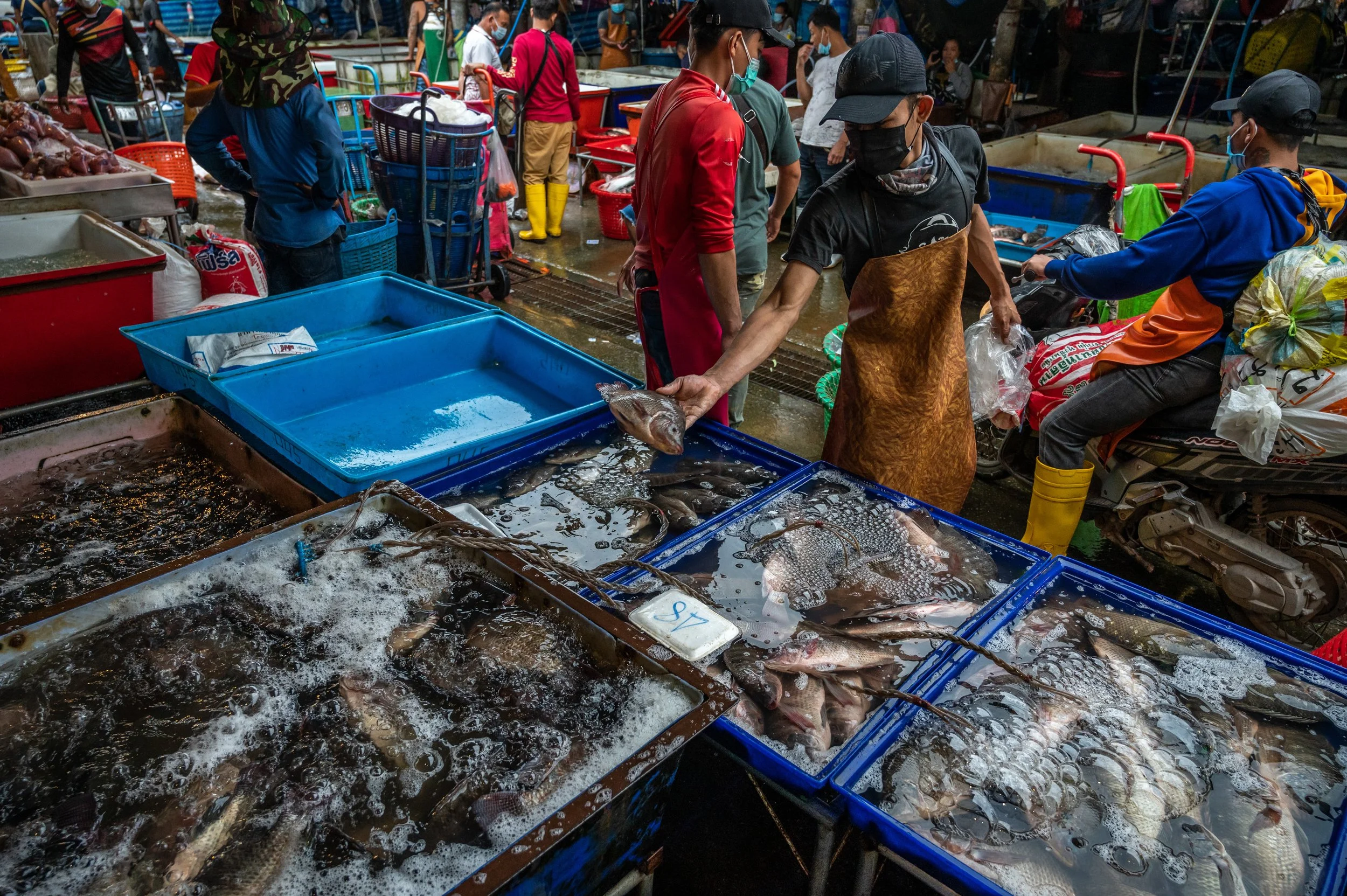 fish farm thailand-62.jpg