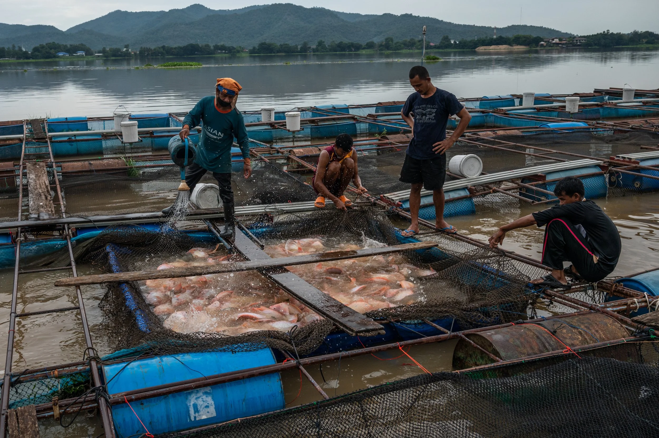 fish farm thailand-223.jpg