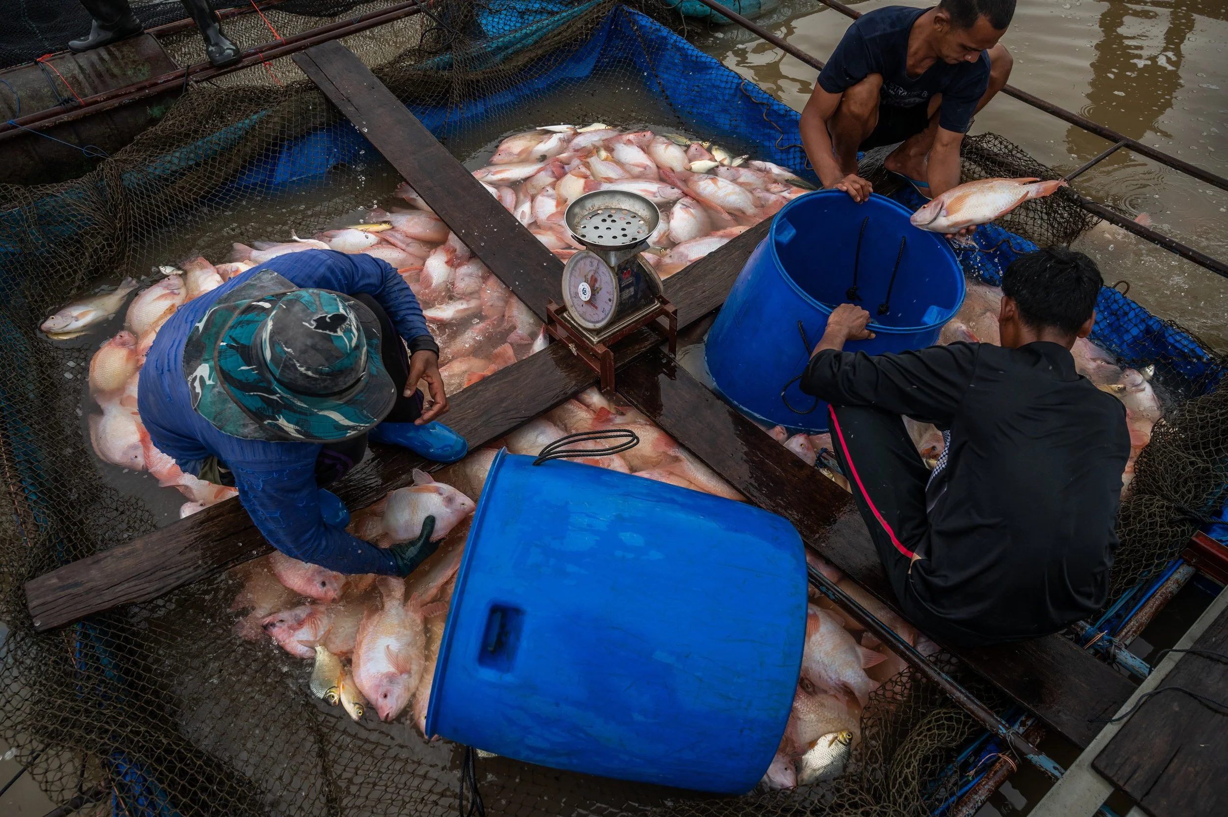 fish farm thailand-211.jpg