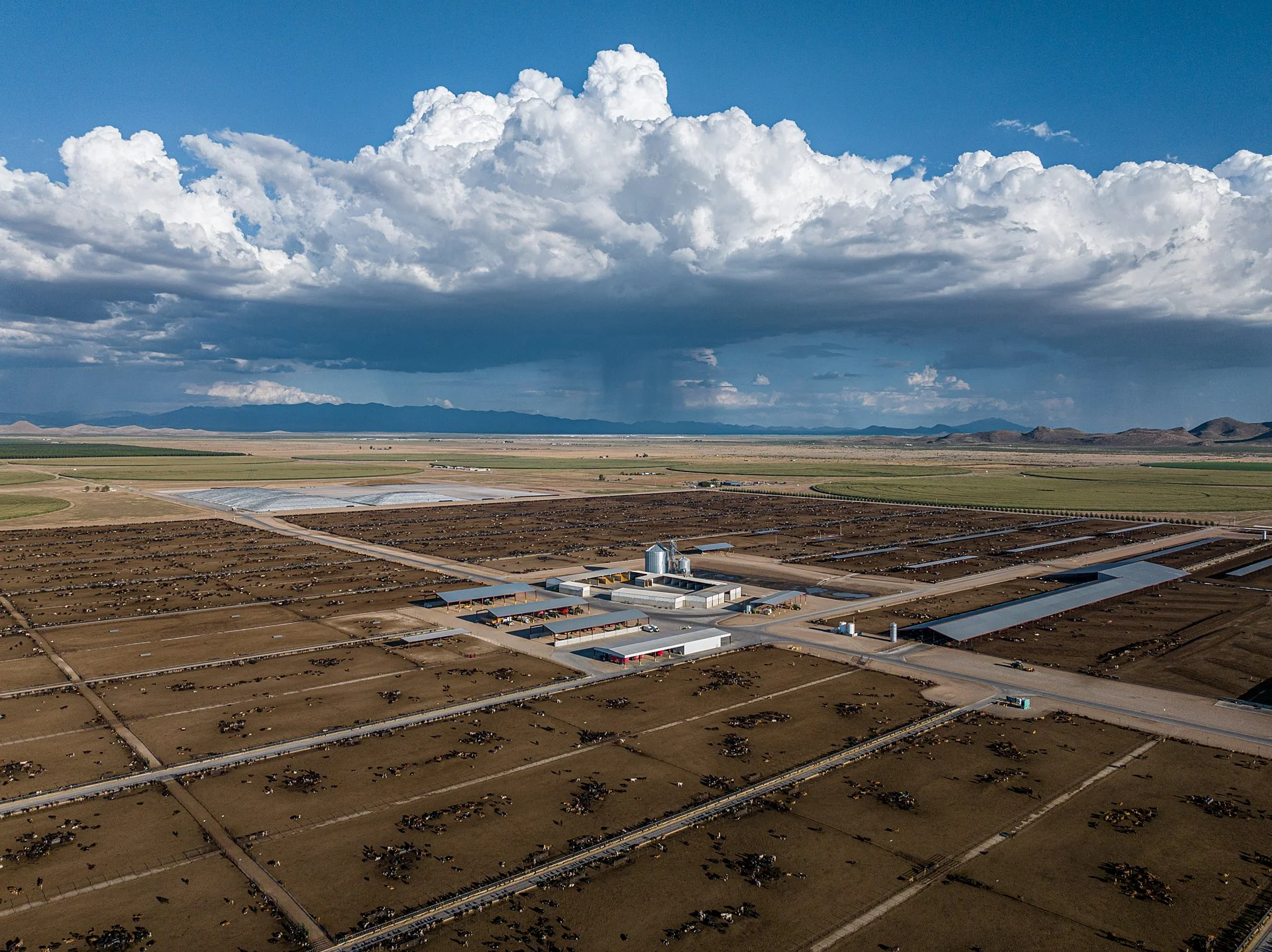 Aerial photograph of a vast industrial dairy farm and feedlot with rows of outdoor animal pens, farm buildings, and feed silos under a cloud-filled sky.