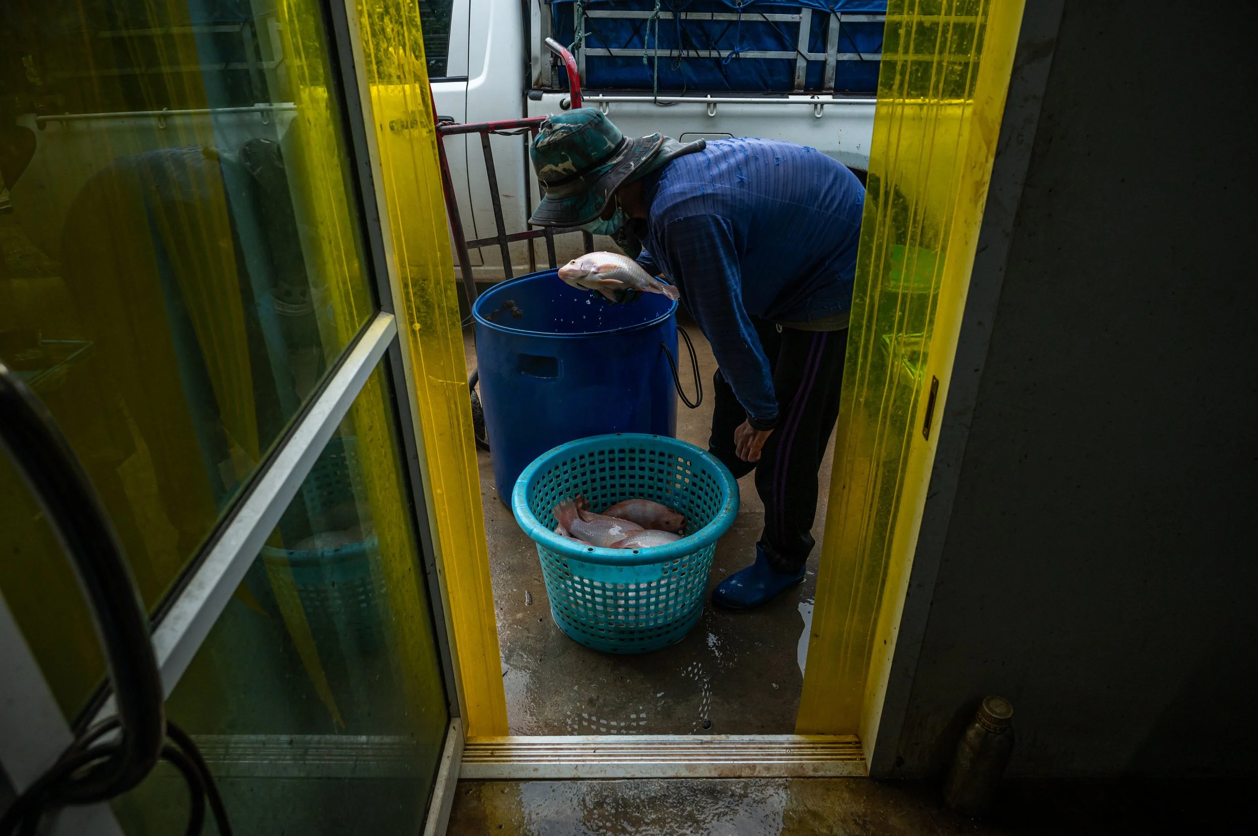 fish farm thailand-200.jpg