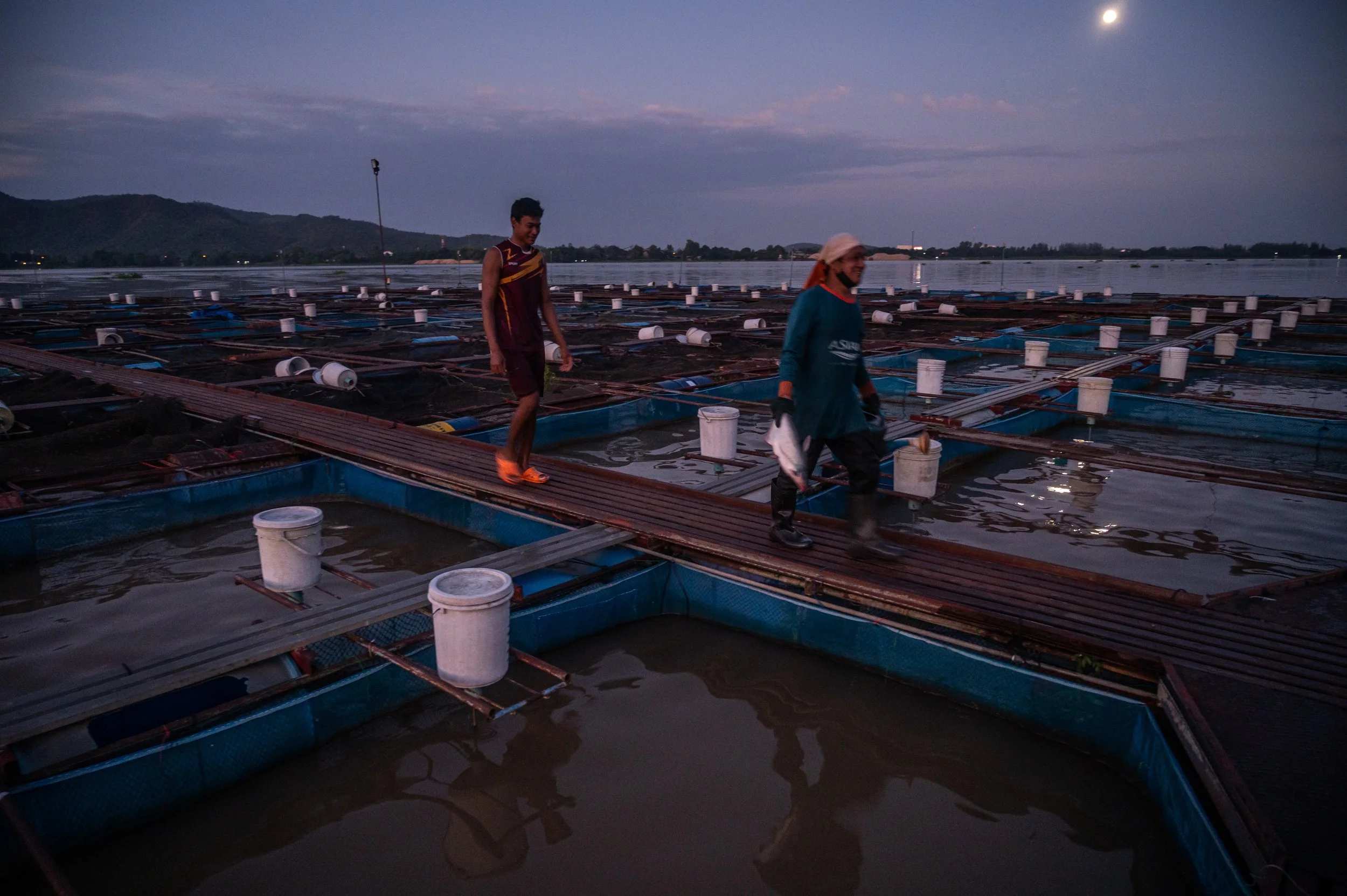 fish farm thailand-165.jpg
