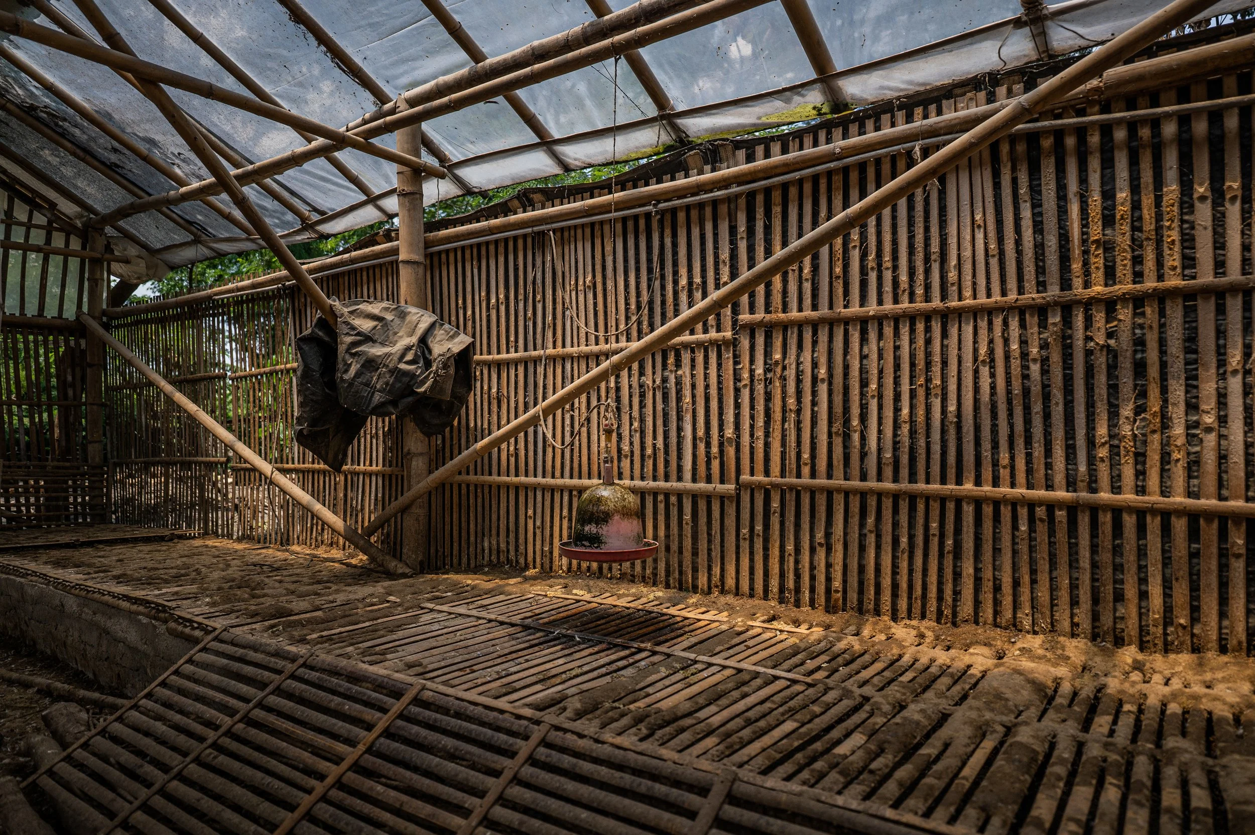 duck farm indonesia-118.jpg
