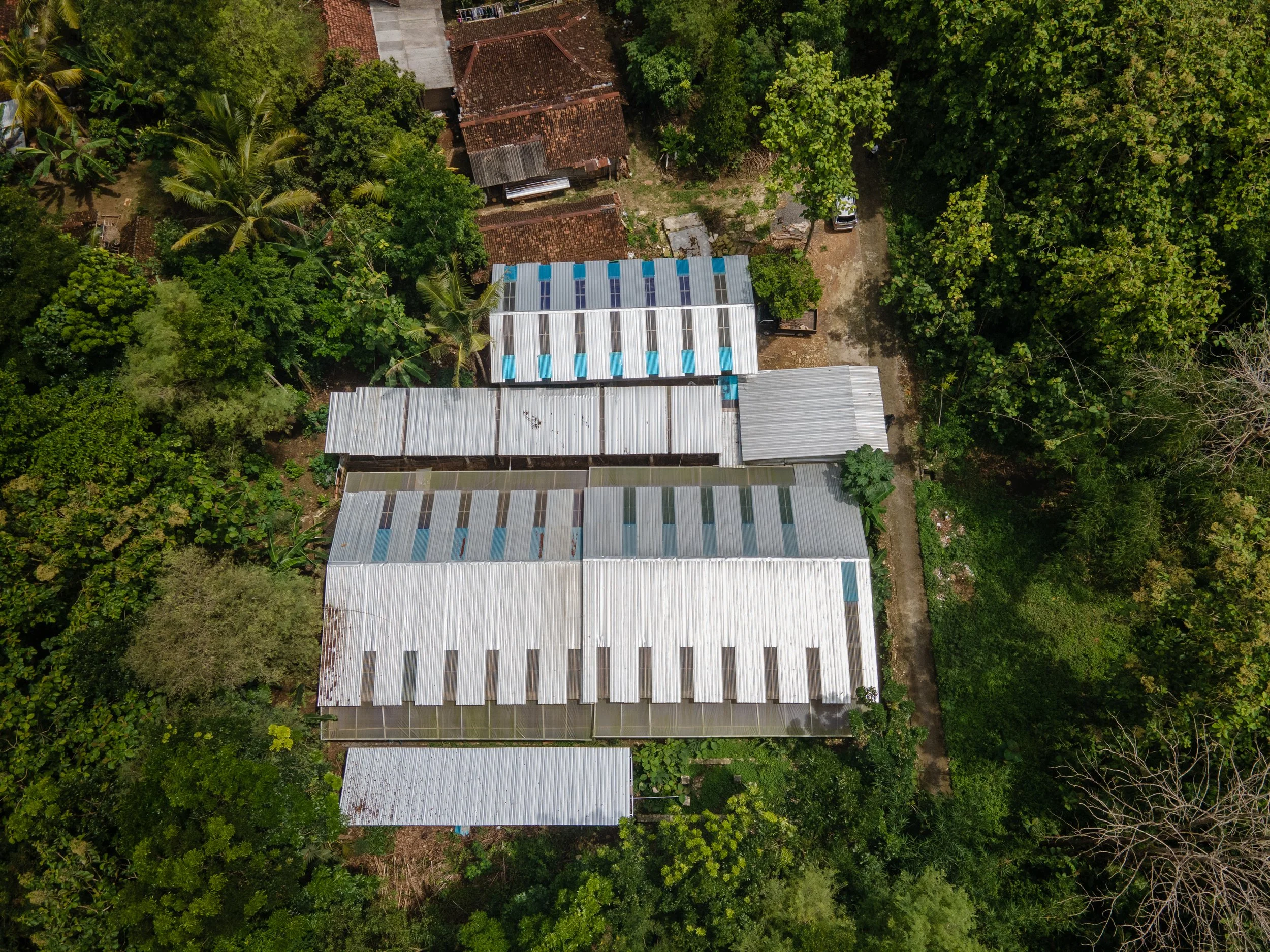 duck farm indonesia-109.jpg