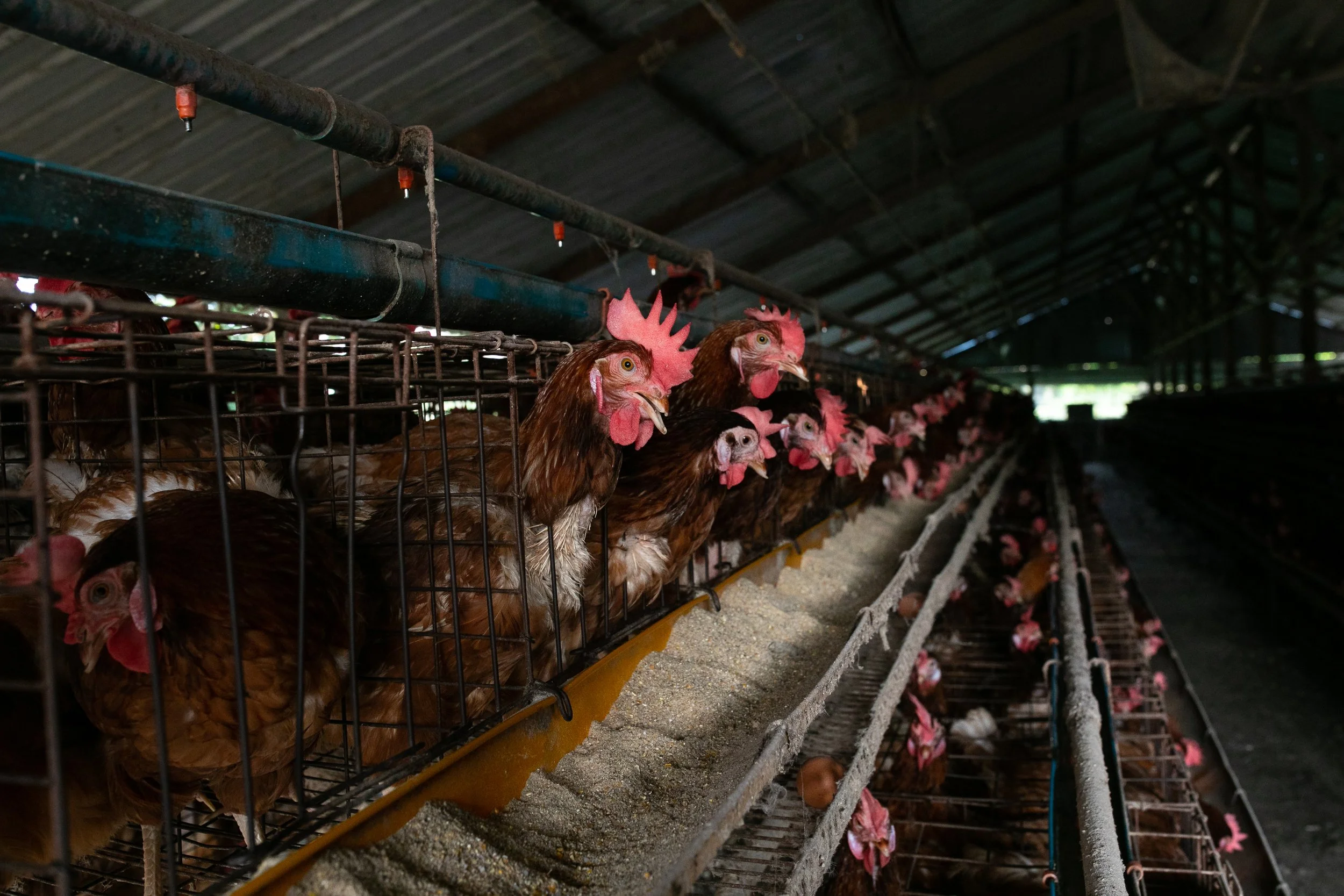fot-andrzej-skowron-22jpg.jpg