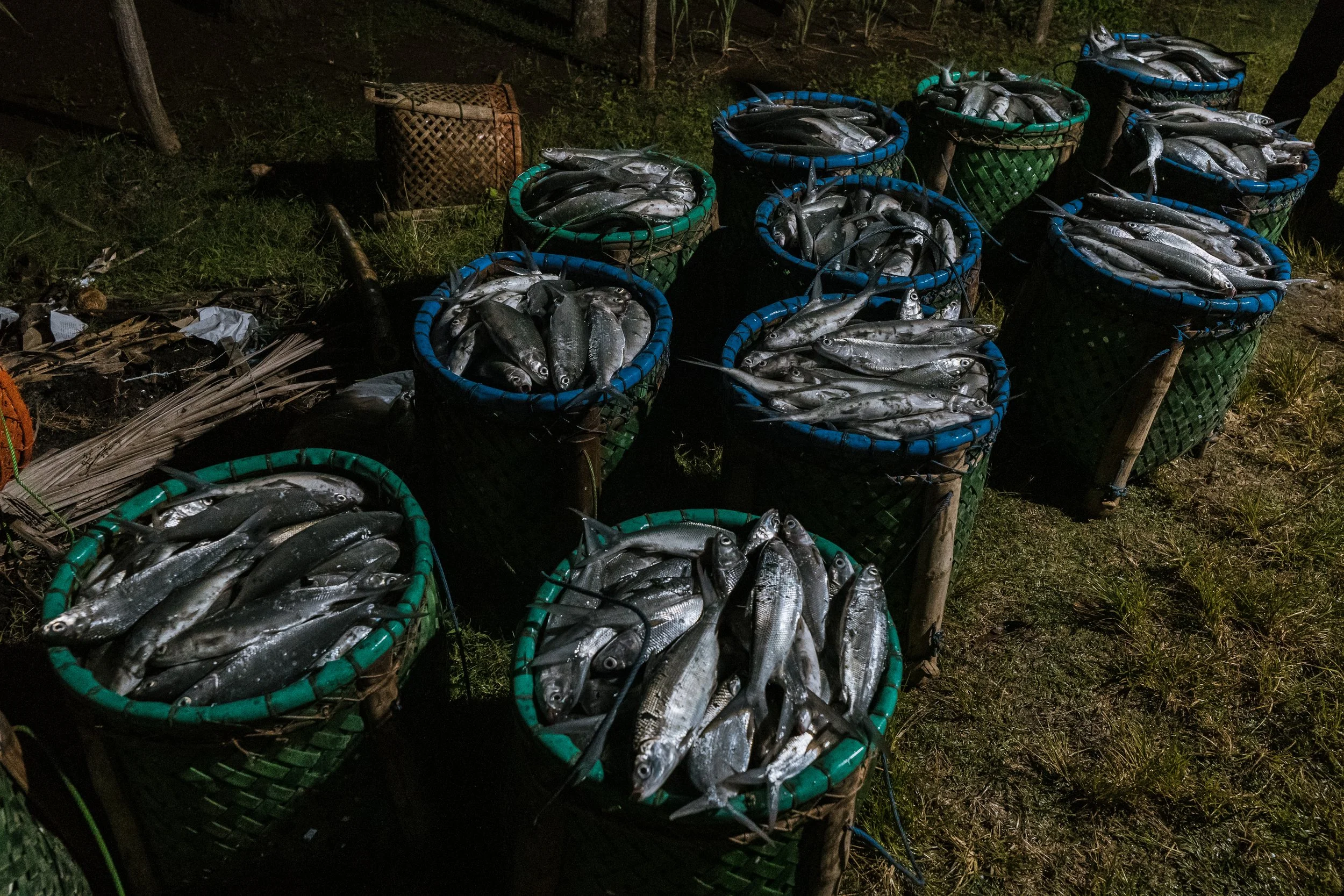fish farm indonesia-61.jpg