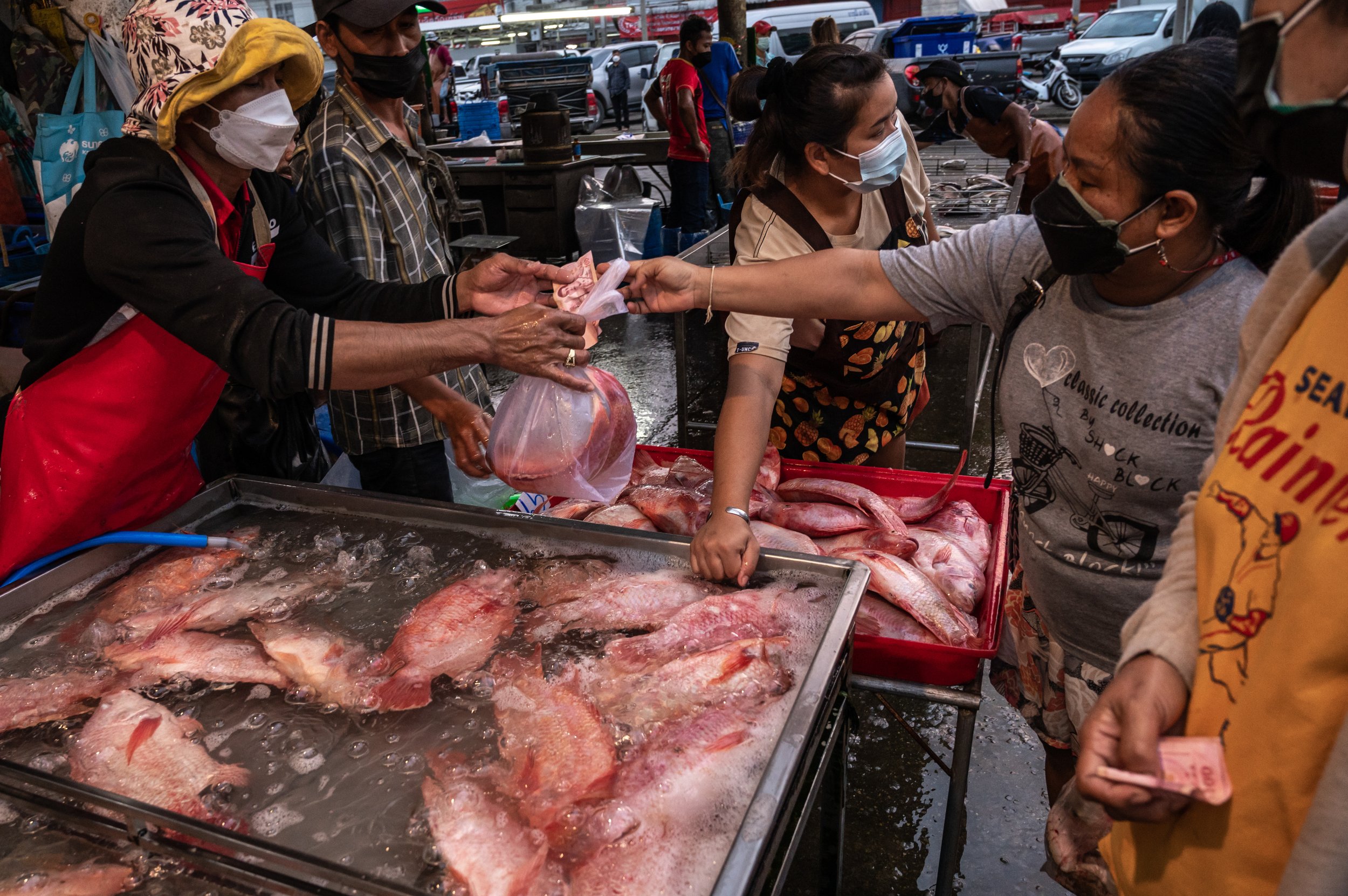 fish farm thailand-80.jpg
