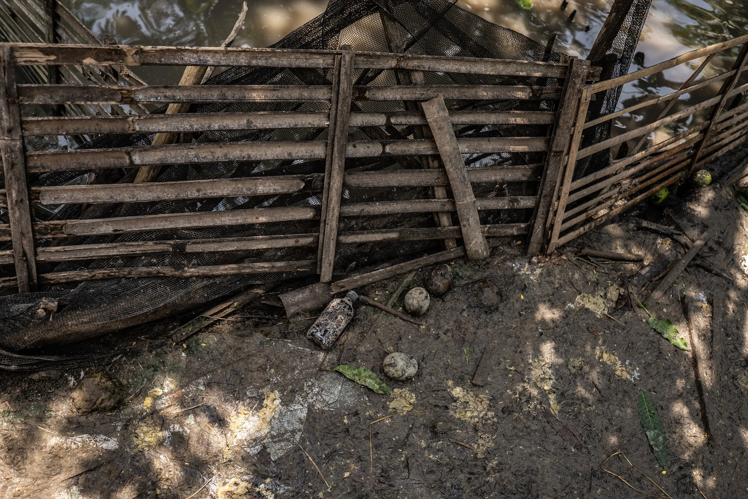 duck farm indonesia-86.jpg