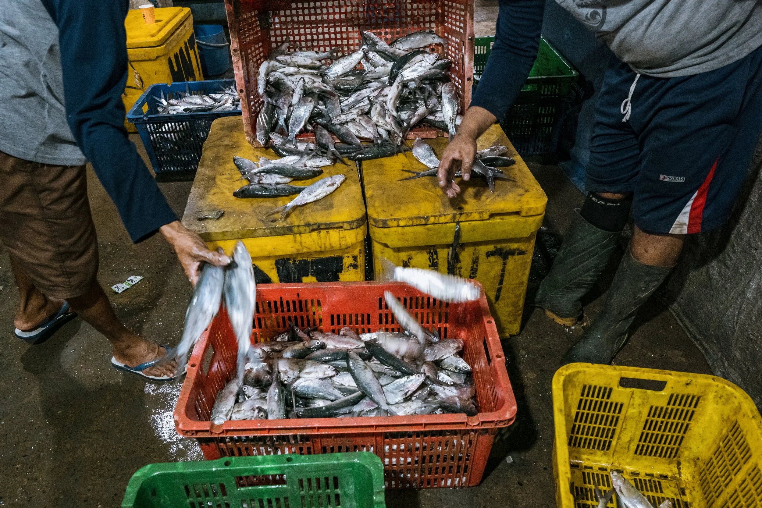 fish farm indonesia-35.jpg