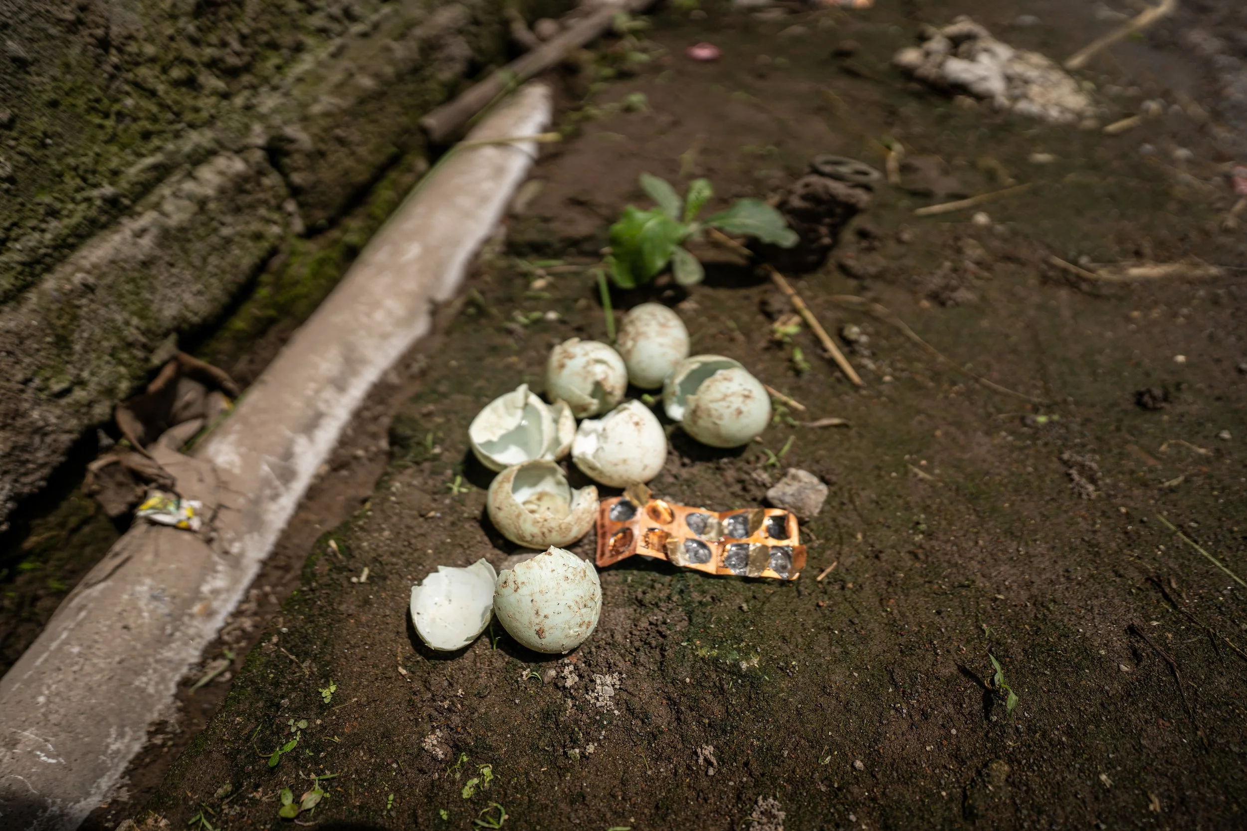 duck farm indonesia-134.jpg