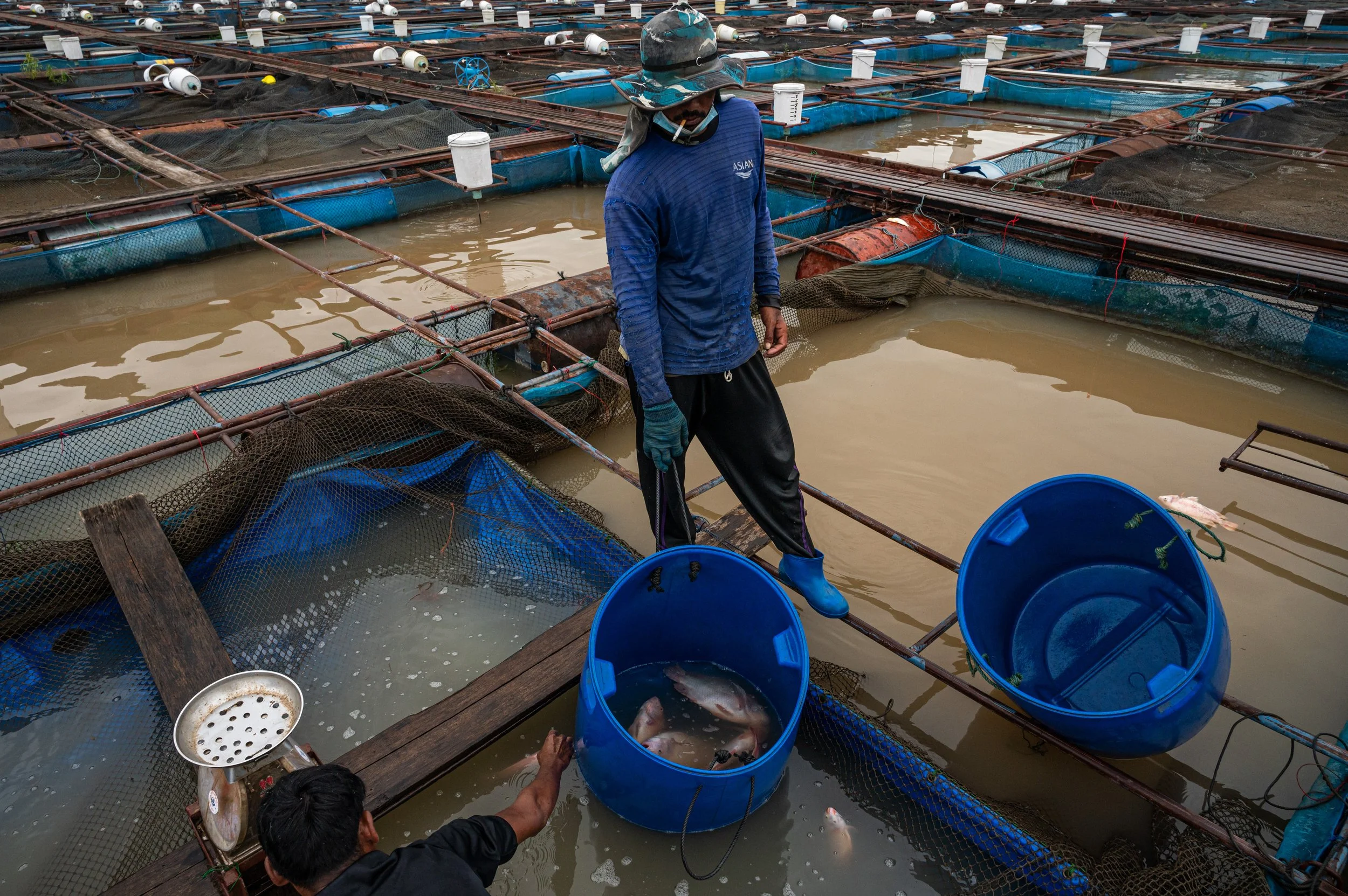 fish farm thailand-247.jpg