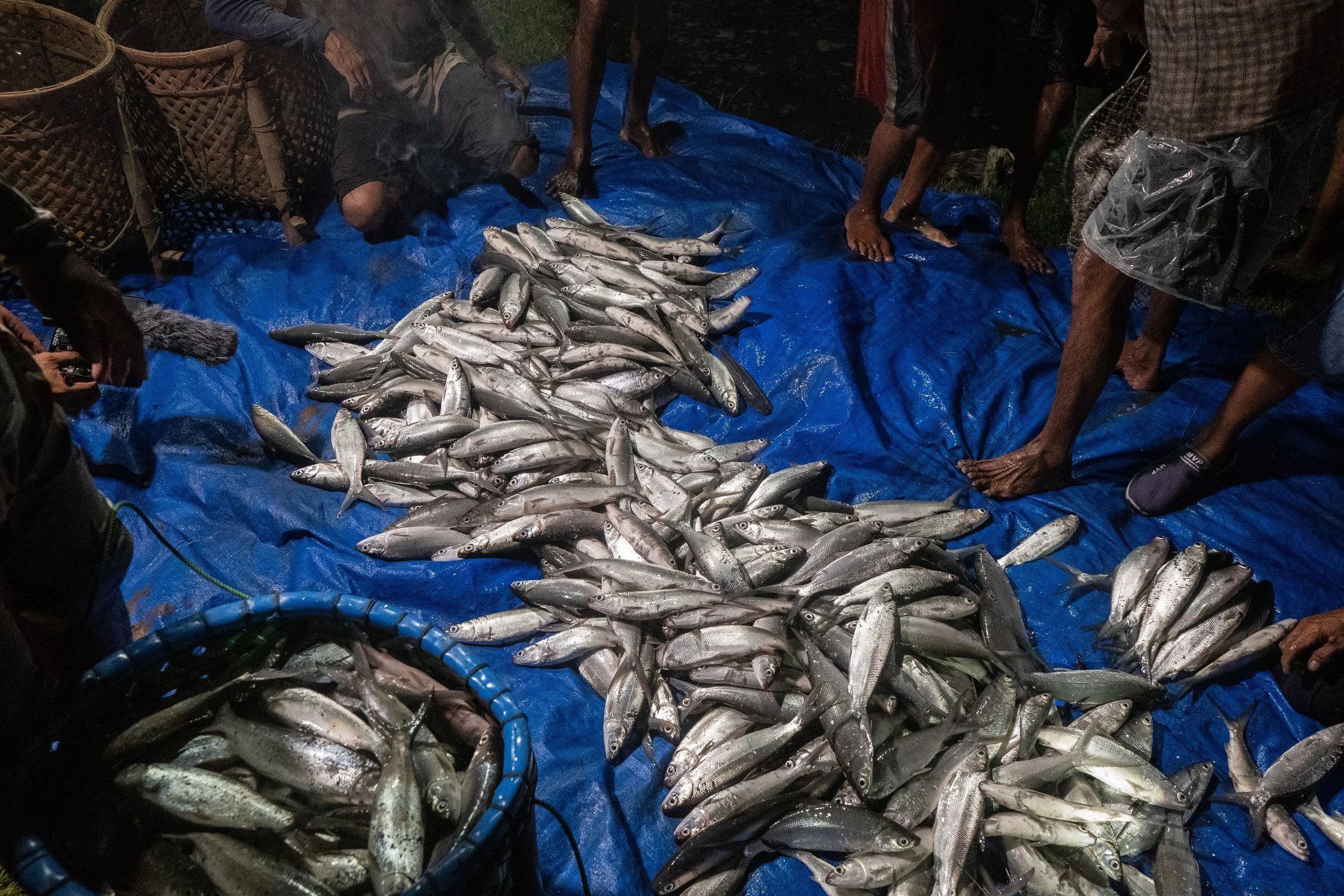 fish farm indonesia-64.jpg