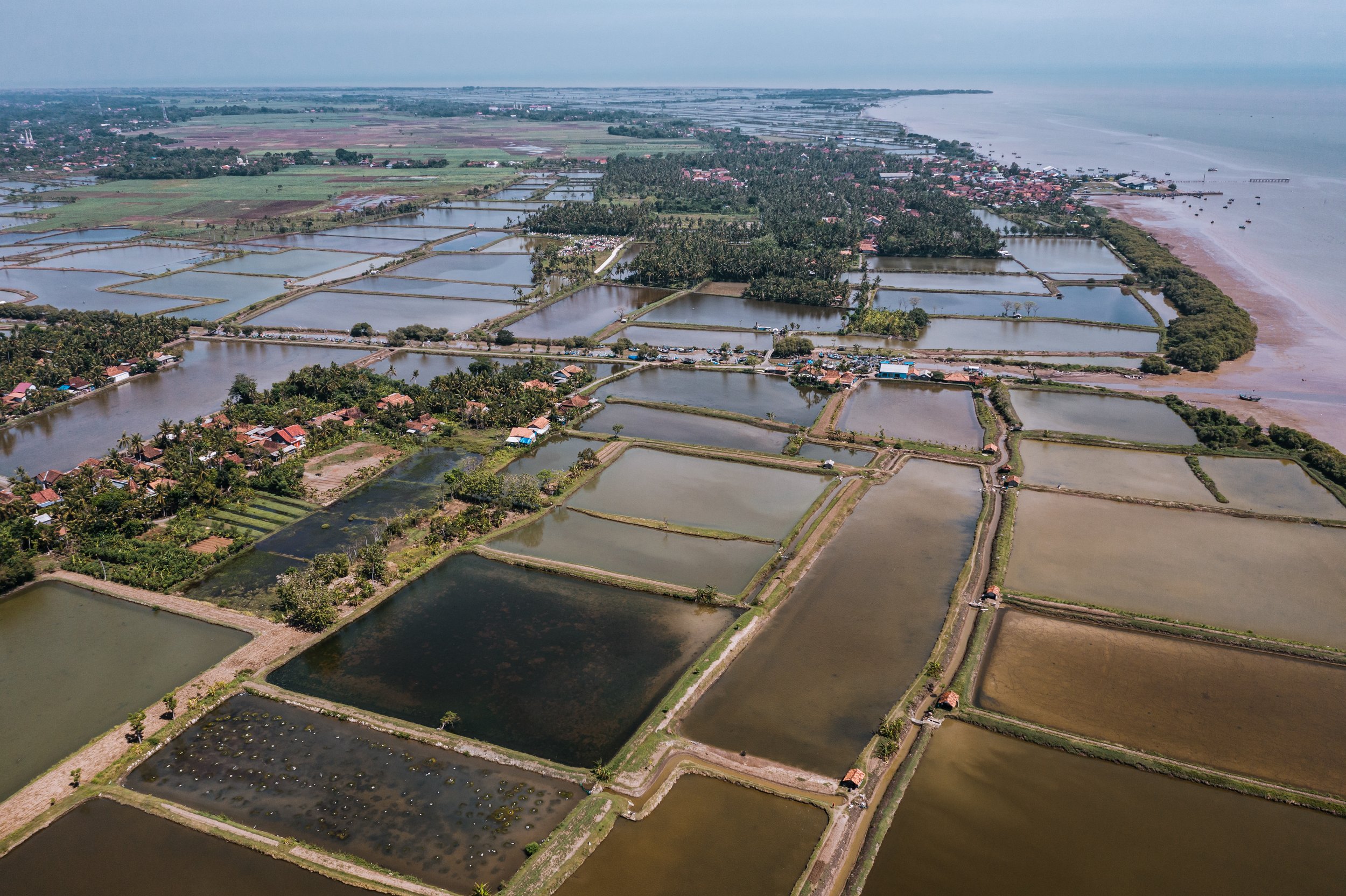 fish farm indonesia-59.jpg