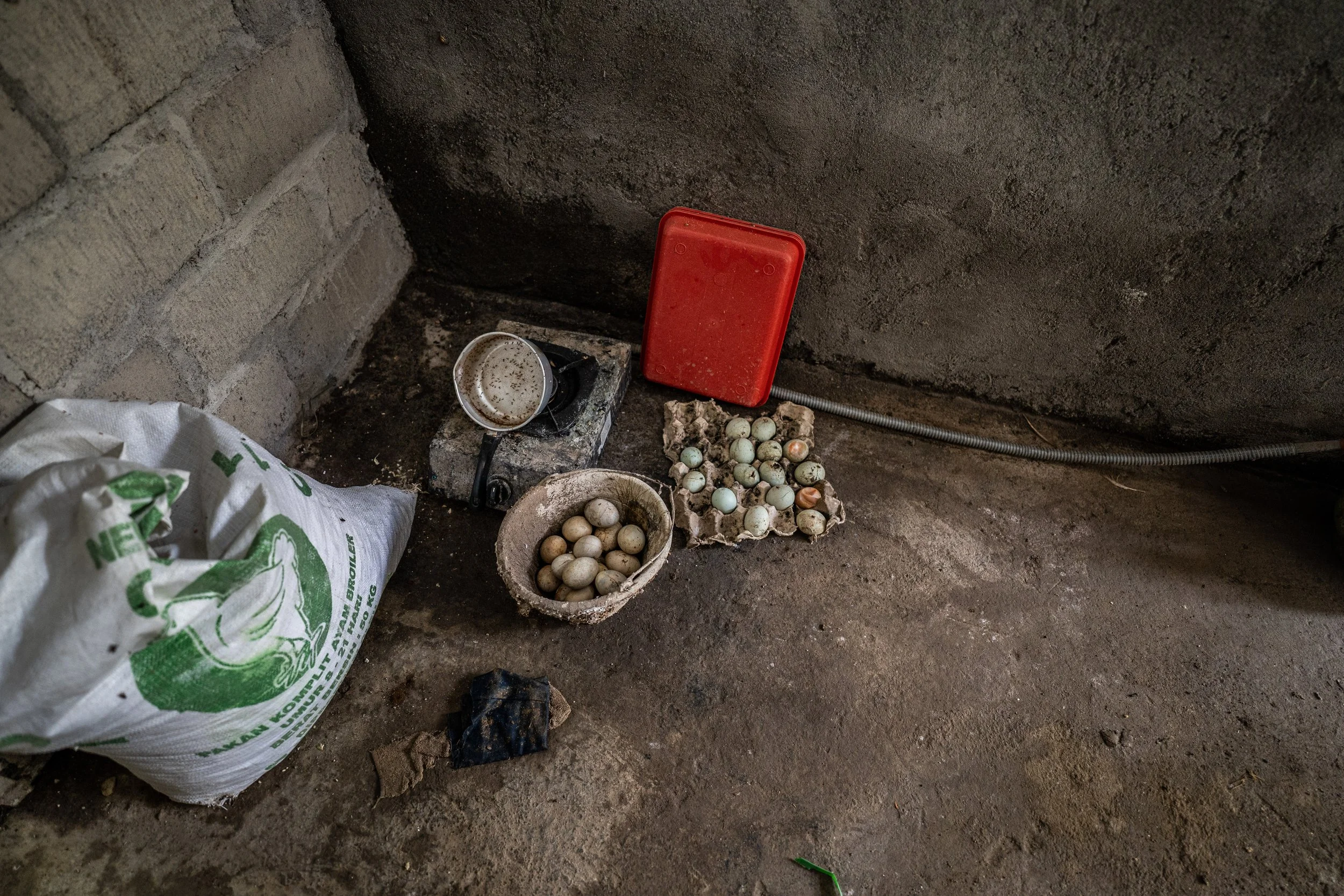 duck farm indonesia-195.jpg