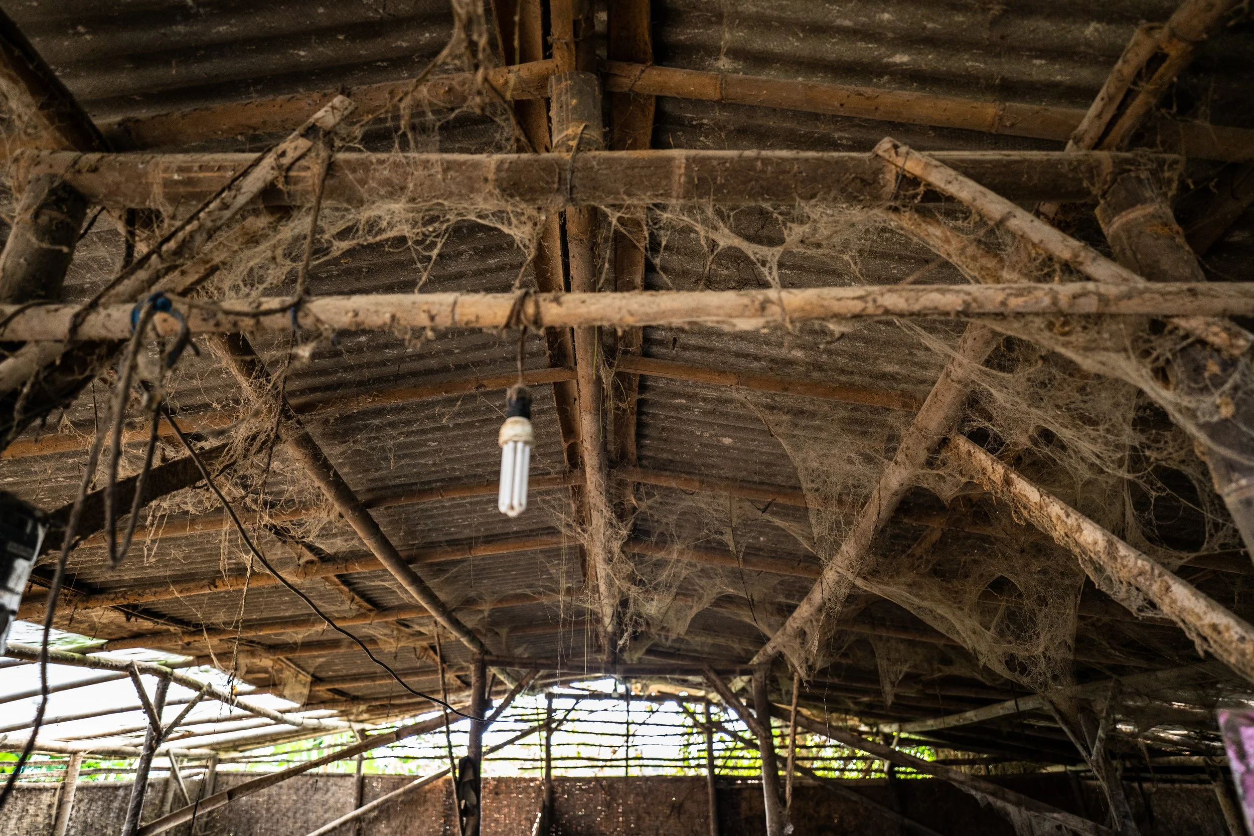 duck farm indonesia-137.jpg