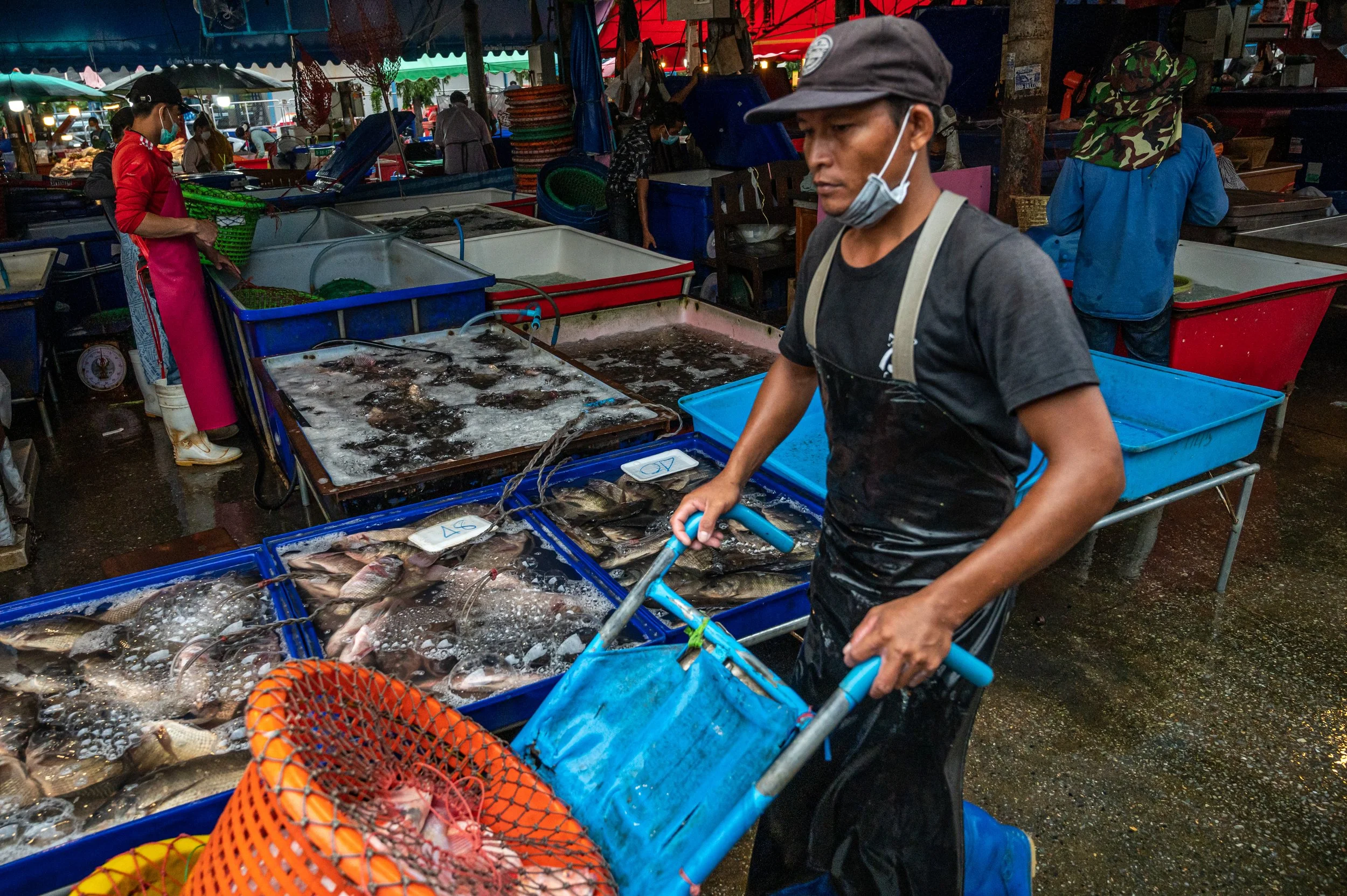 fish farm thailand-63.jpg