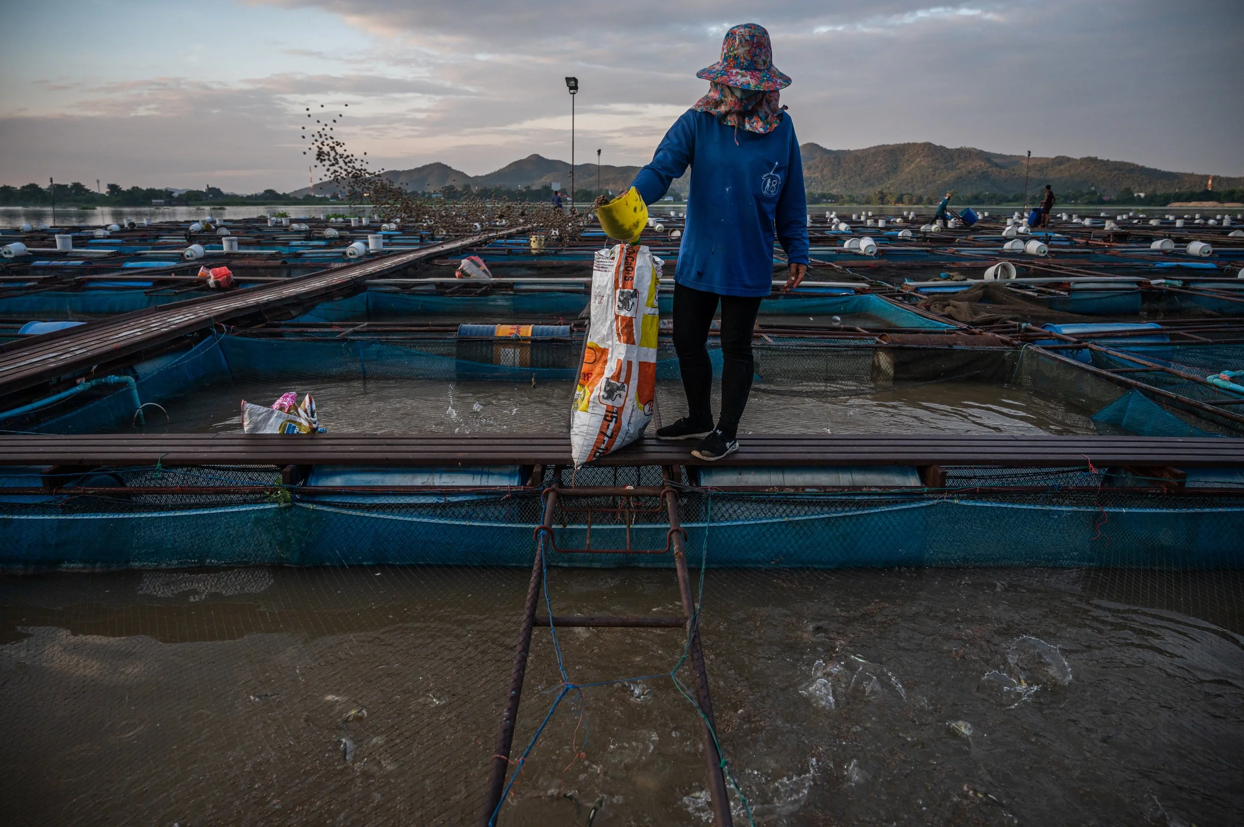 fish farm thailand-159.jpg