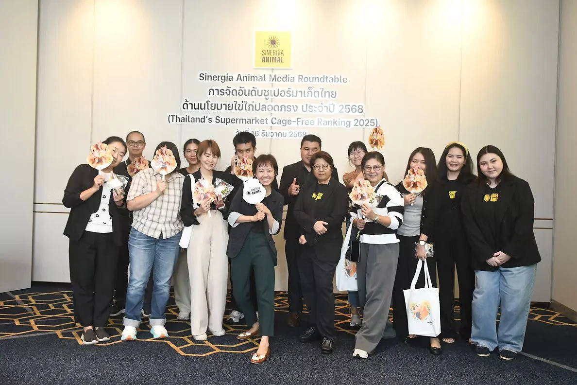 Thailand’s Supermarket Cage-Free Ranking 2025: Why Corporate Transparency and Higher Animal Welfare Standards Are Urgently Needed