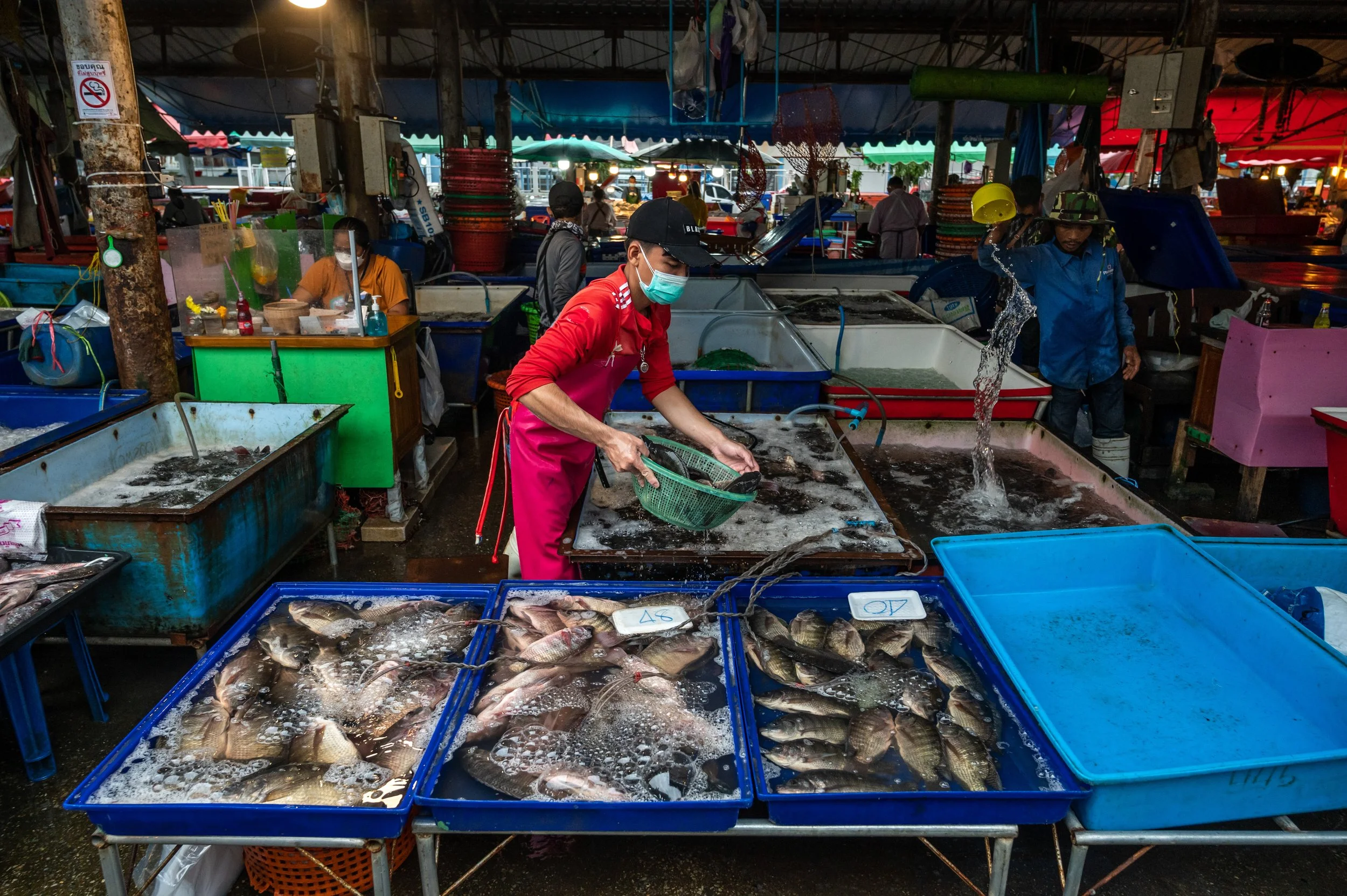 fish farm thailand-60.jpg