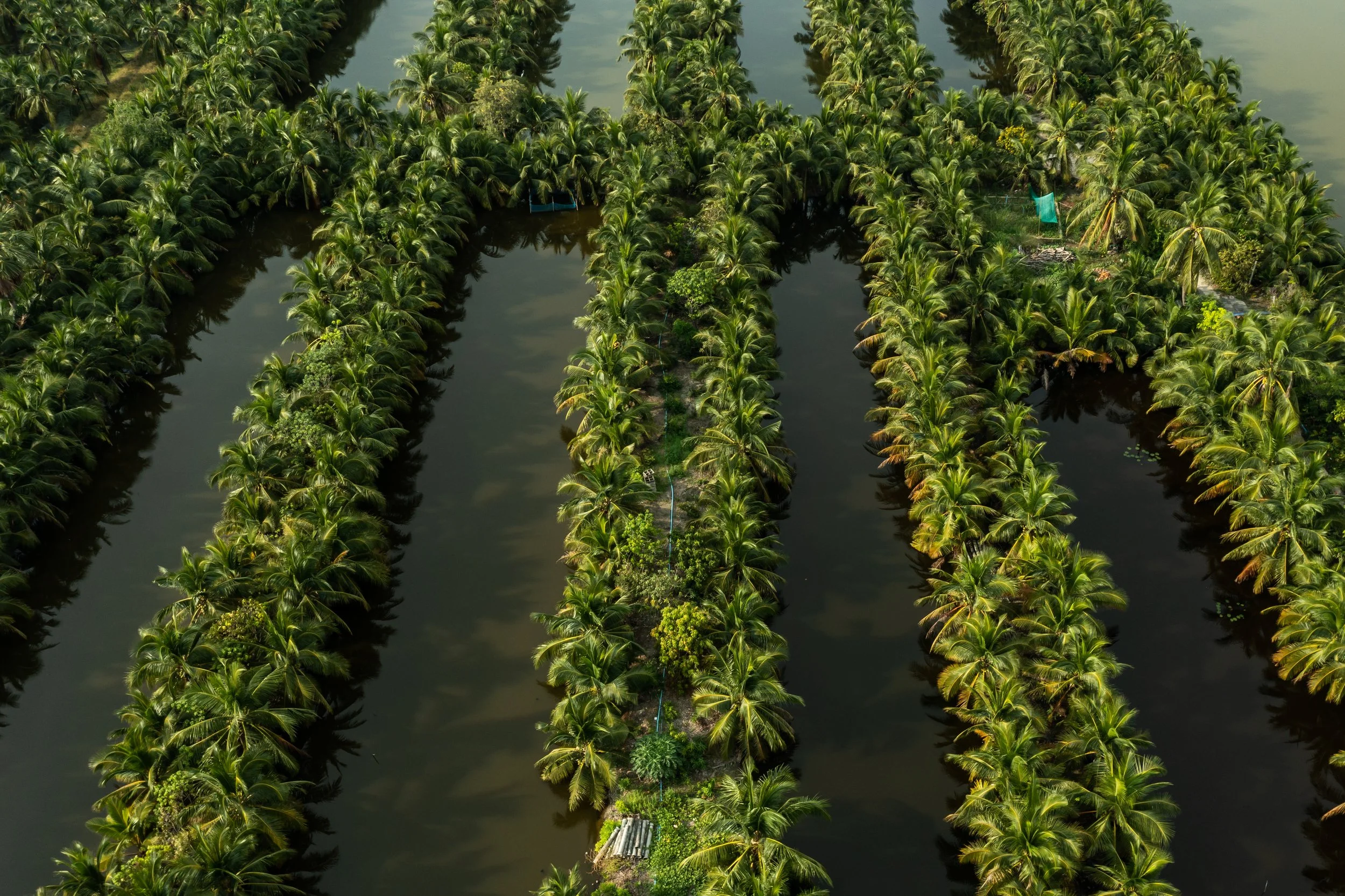 fish farm thailand-192.jpg