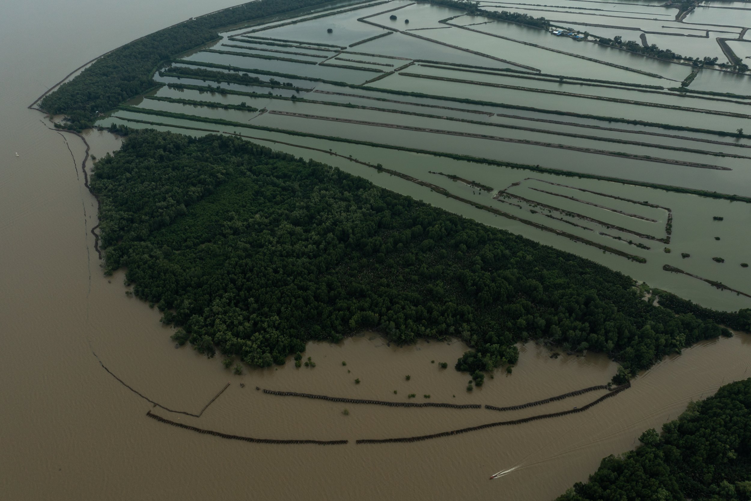 fish farm thailand-186.jpg
