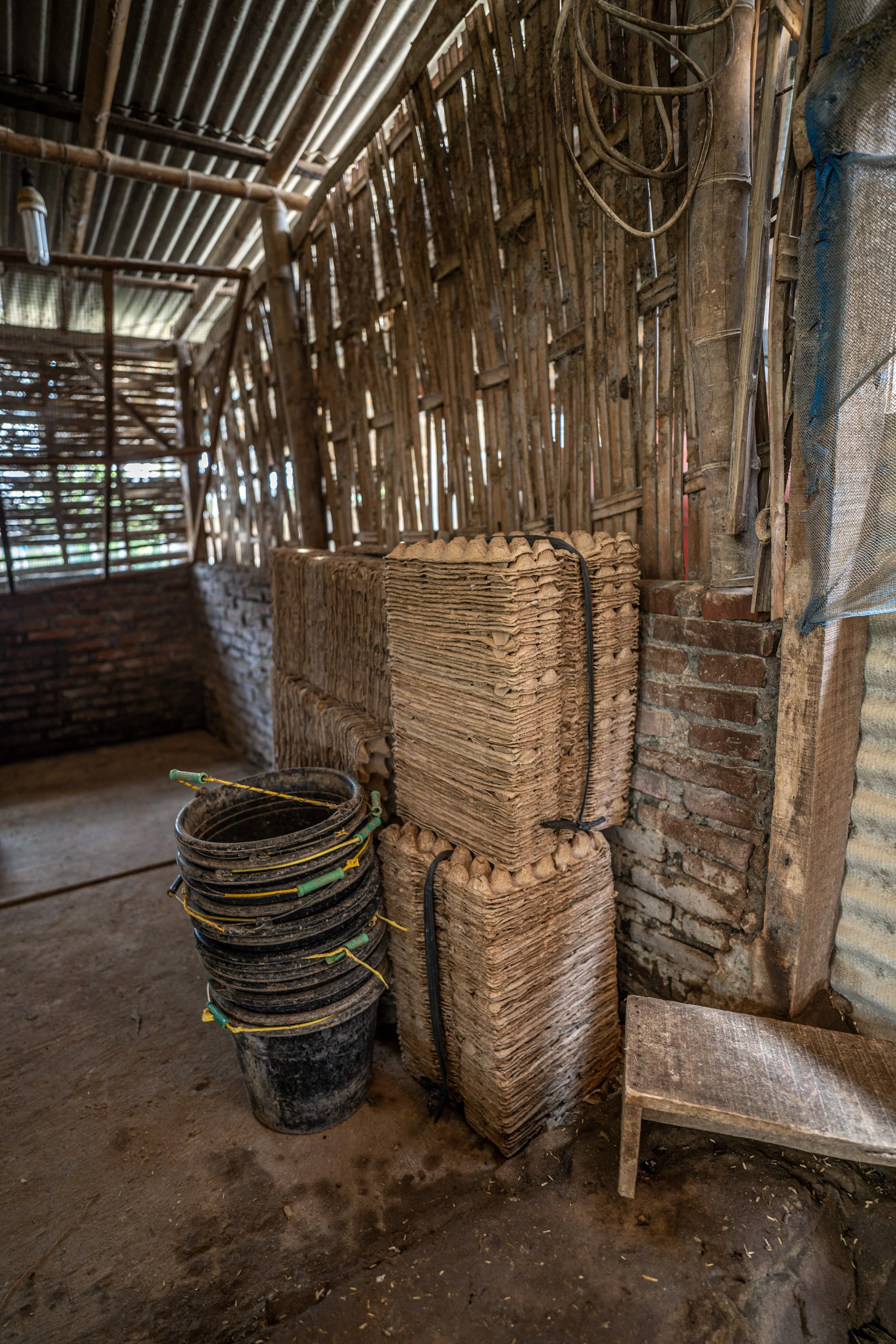 duck farm indonesia-133.jpg