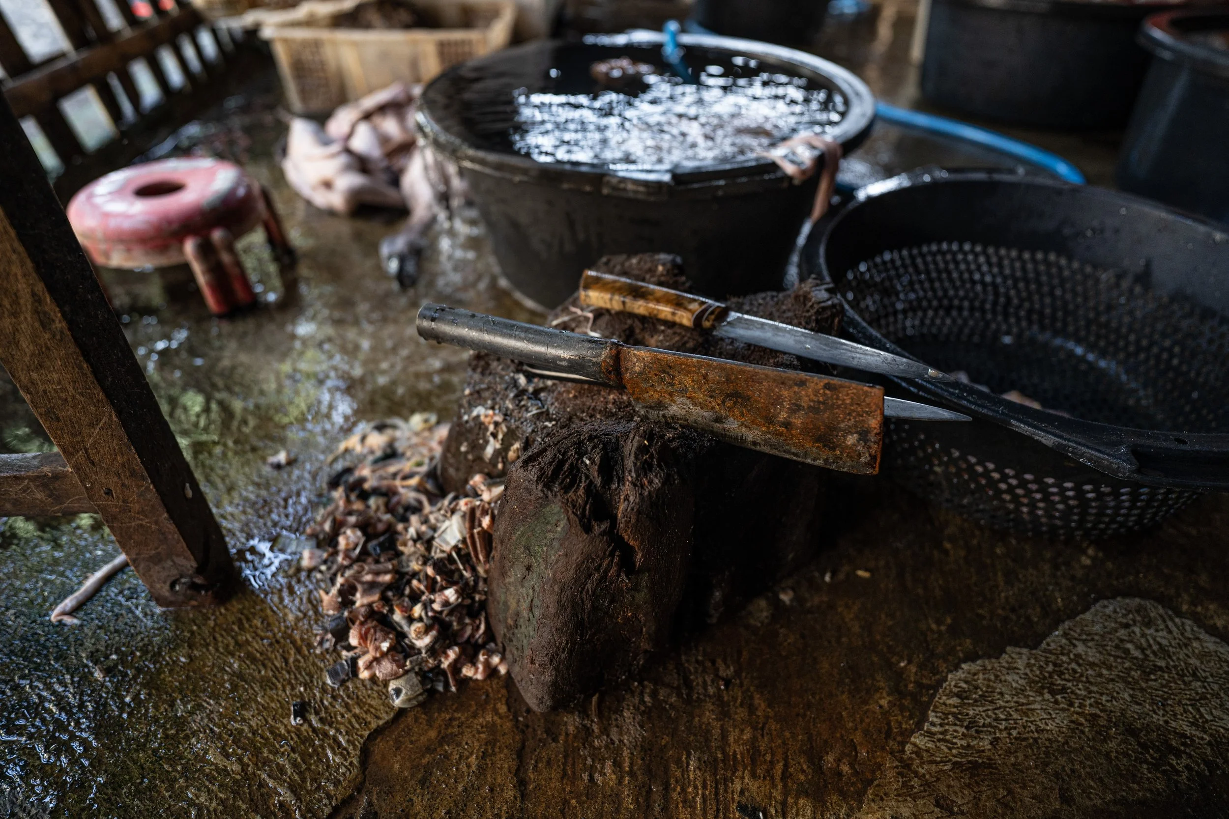duck farm indonesia-116.jpg