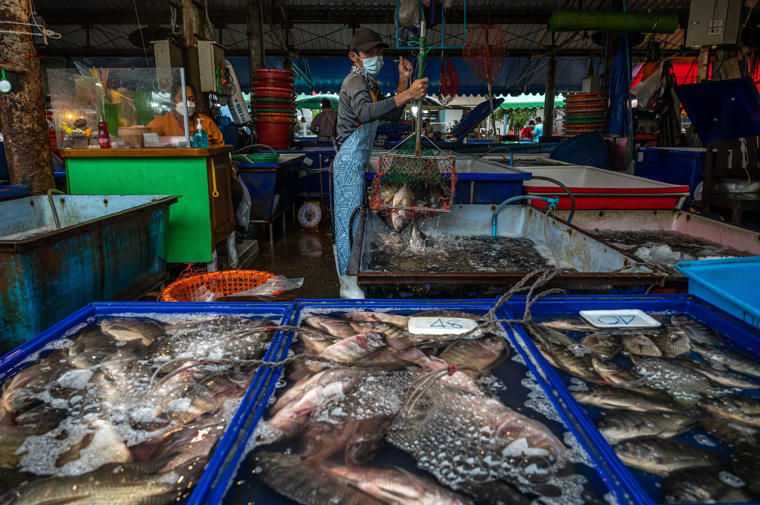 fish farm thailand-71.jpg