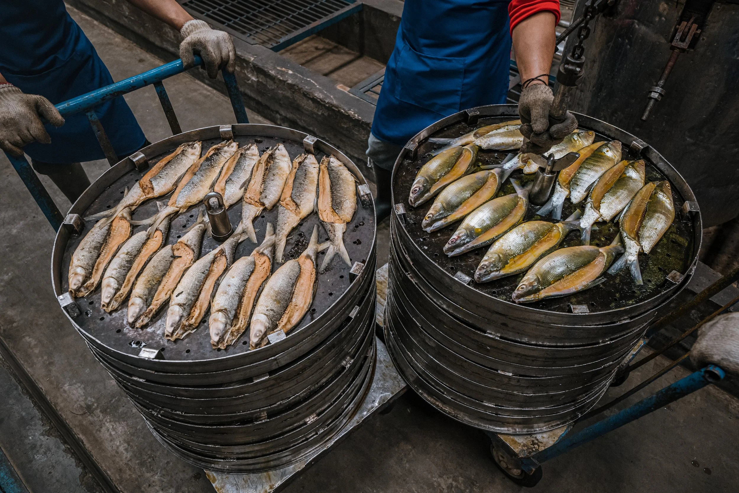 fish farm indonesia-11.jpg