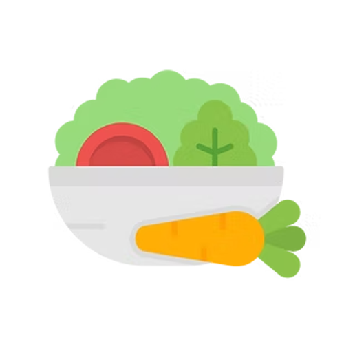Illustration of a bowl of fresh vegetables including lettuce, tomato, carrot, and broccoli.