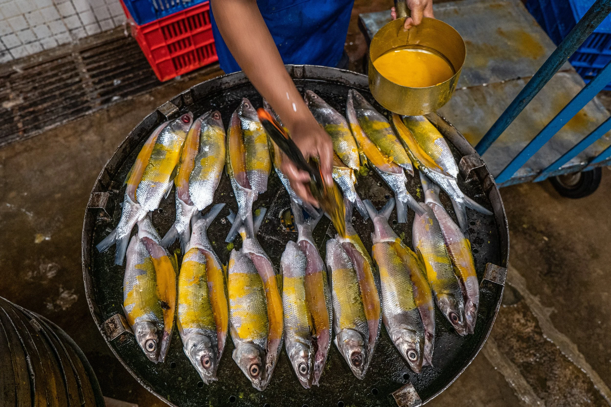 fish farm indonesia-36.jpg