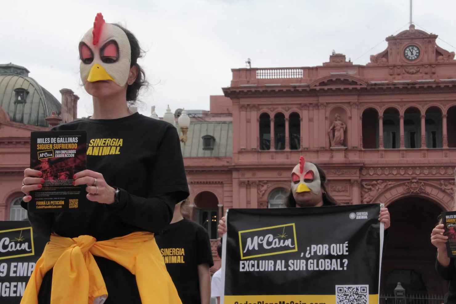 Why Is McCain Delaying Its Cage-Free Commitment in Brazil?