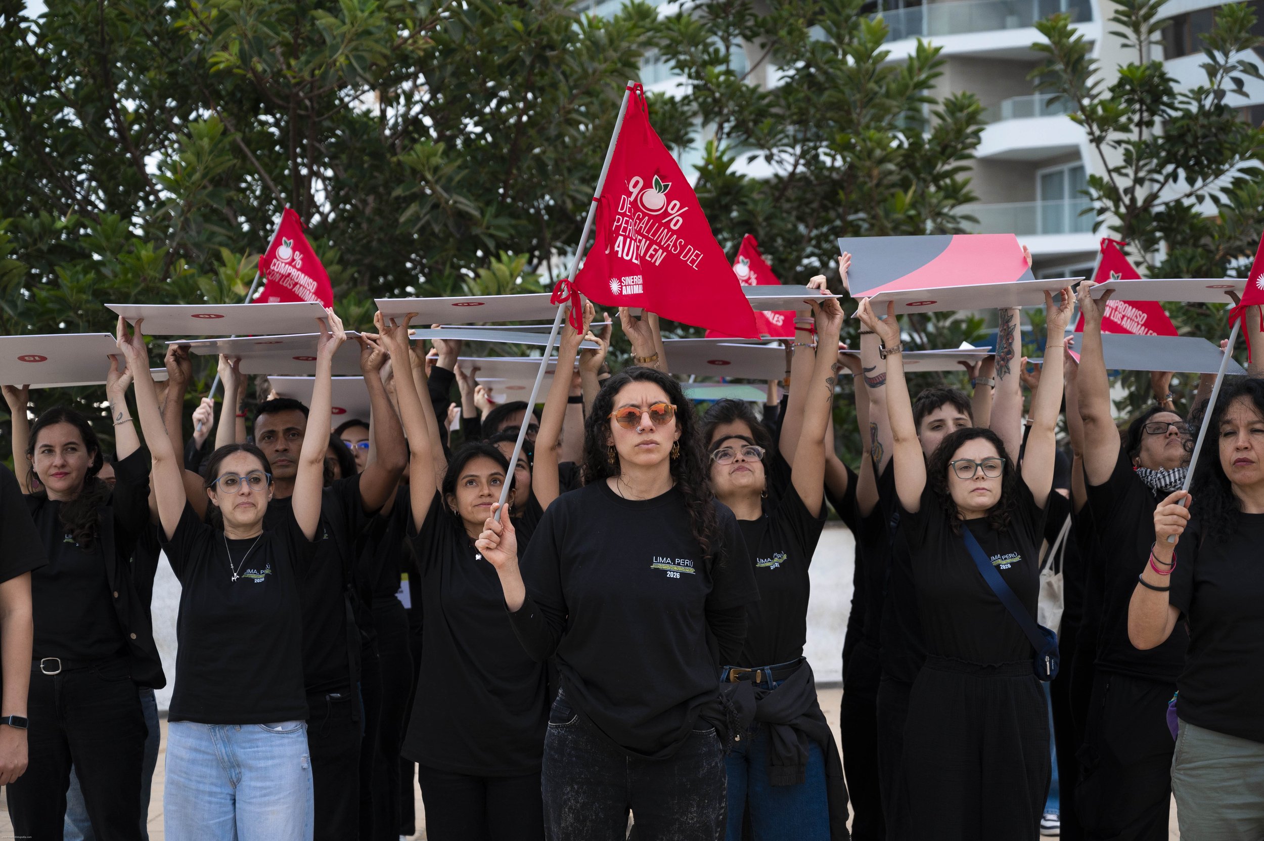 Activists waving red campaign flags while standing in front of a parked mobile billboard truck displaying video footage of factory farm investigations.