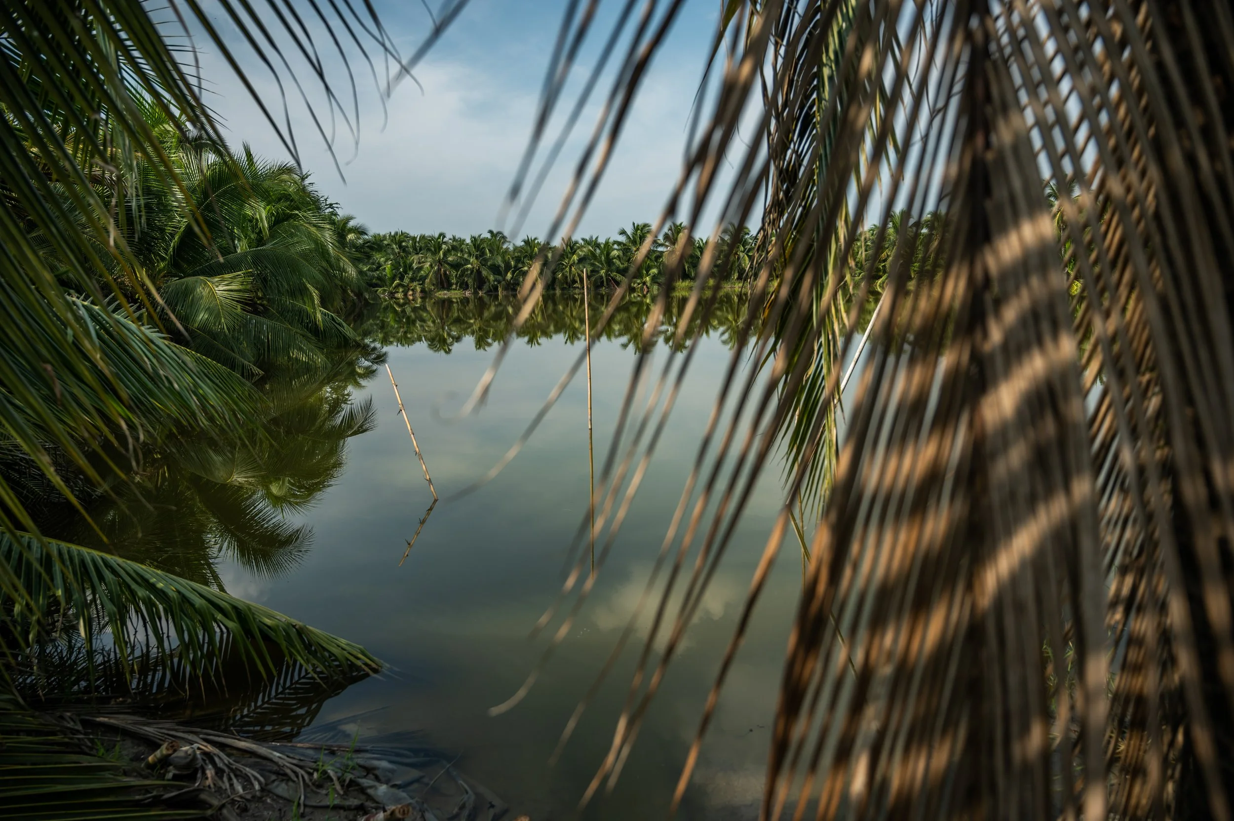 fish farm thailand-201.jpg