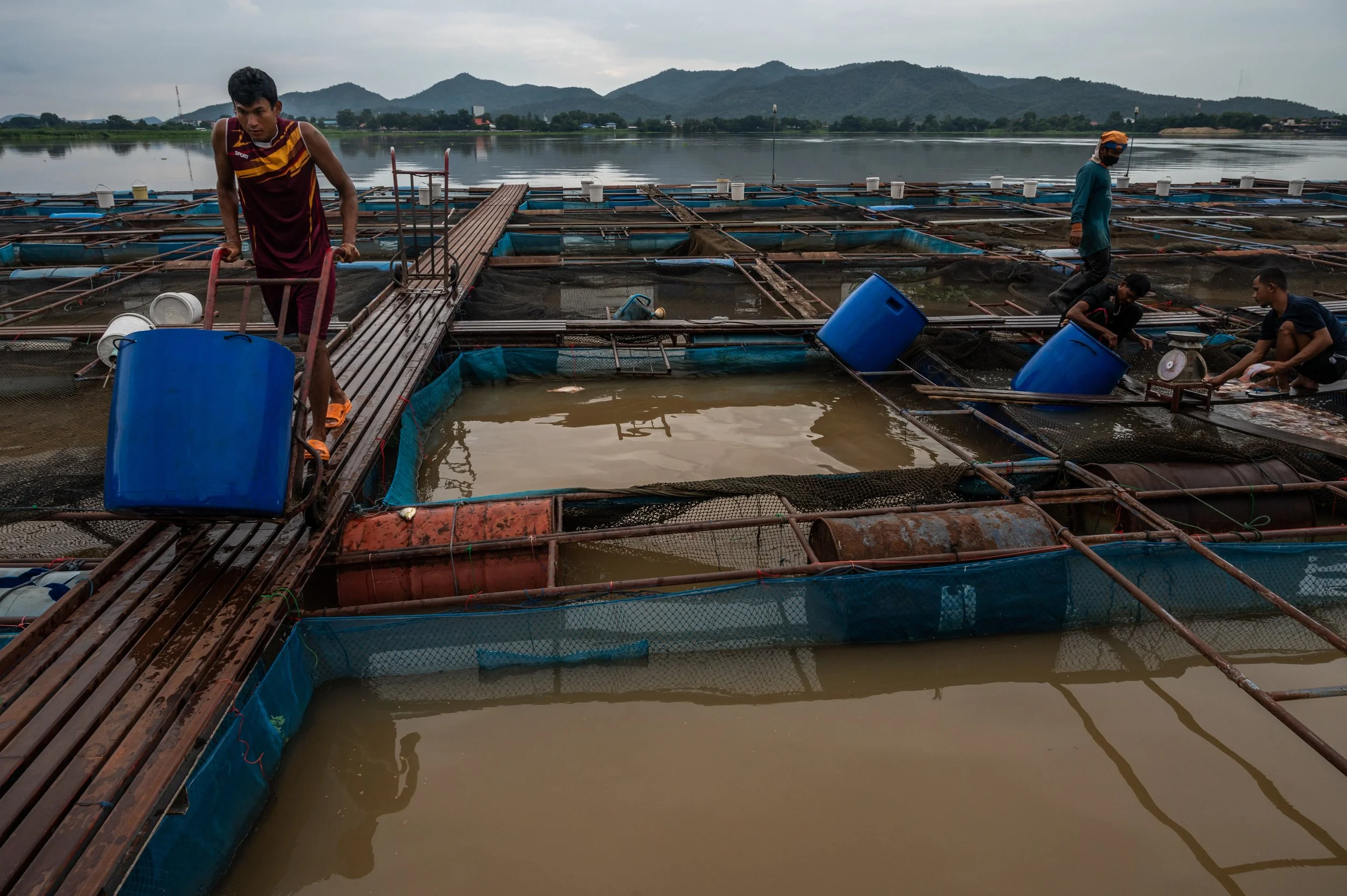 fish farm thailand-203.jpg
