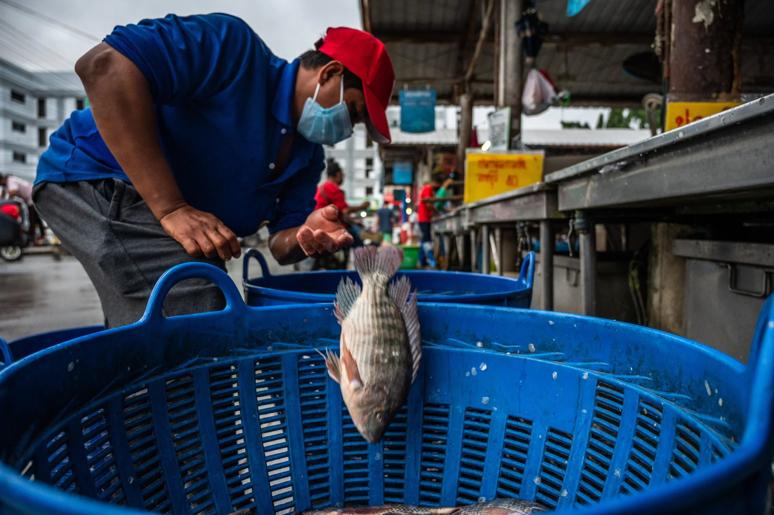 fish farm thailand-99.jpg