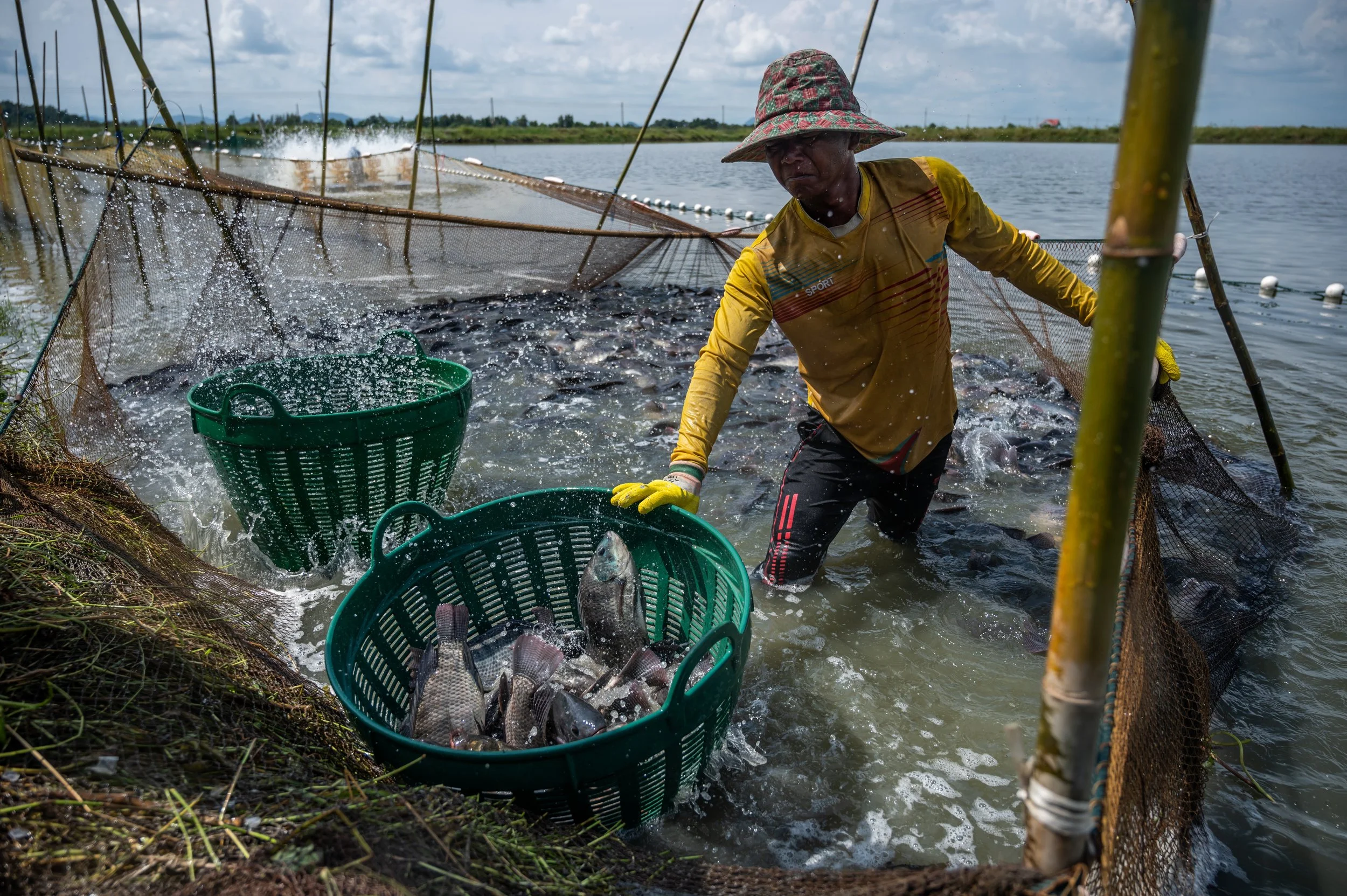 fish farm thailand-156.jpg