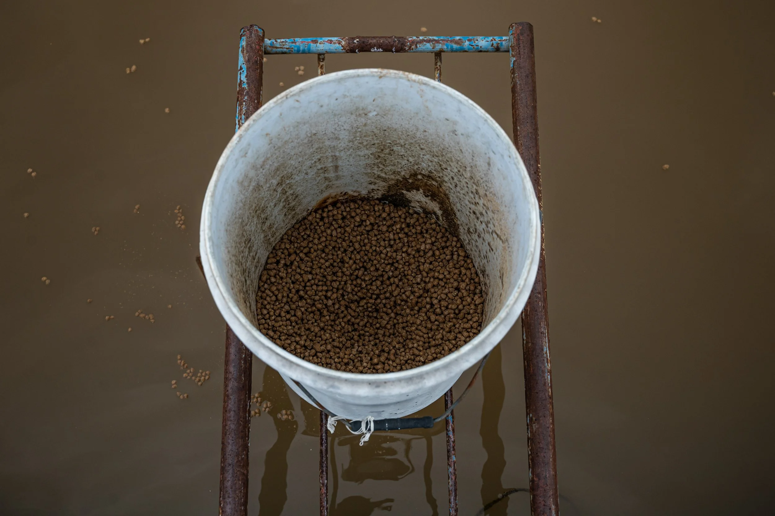 fish farm thailand-172.jpg